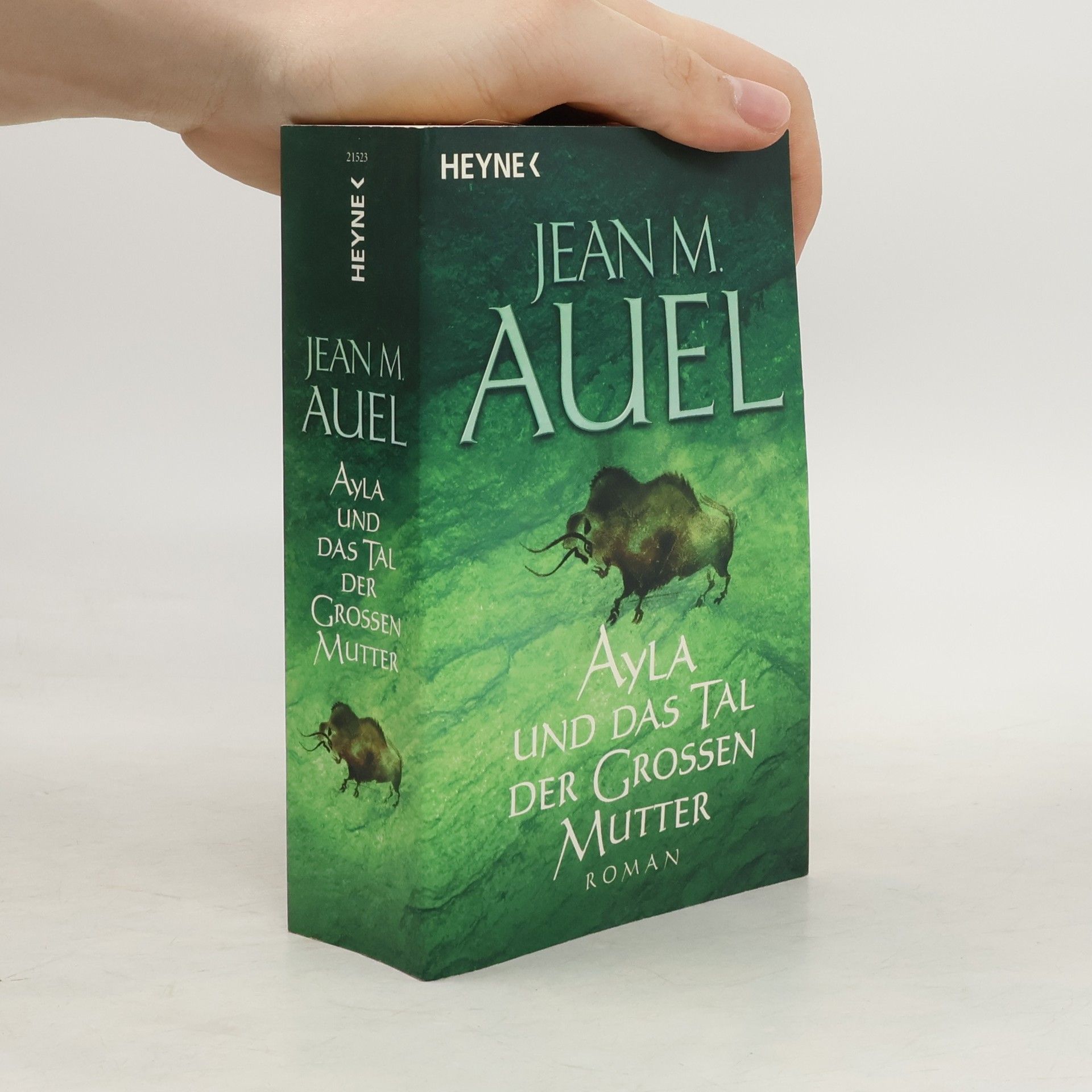 Jean M. Jean Marie Auel Ayla und das Tal der Grossen Mutter