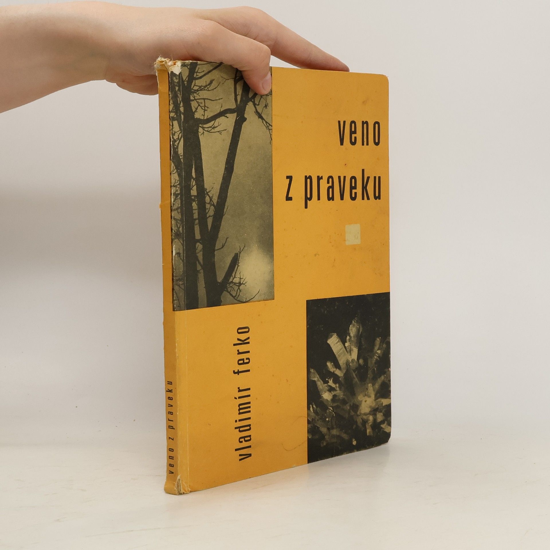 Vladimír Ferko Veno z praveku