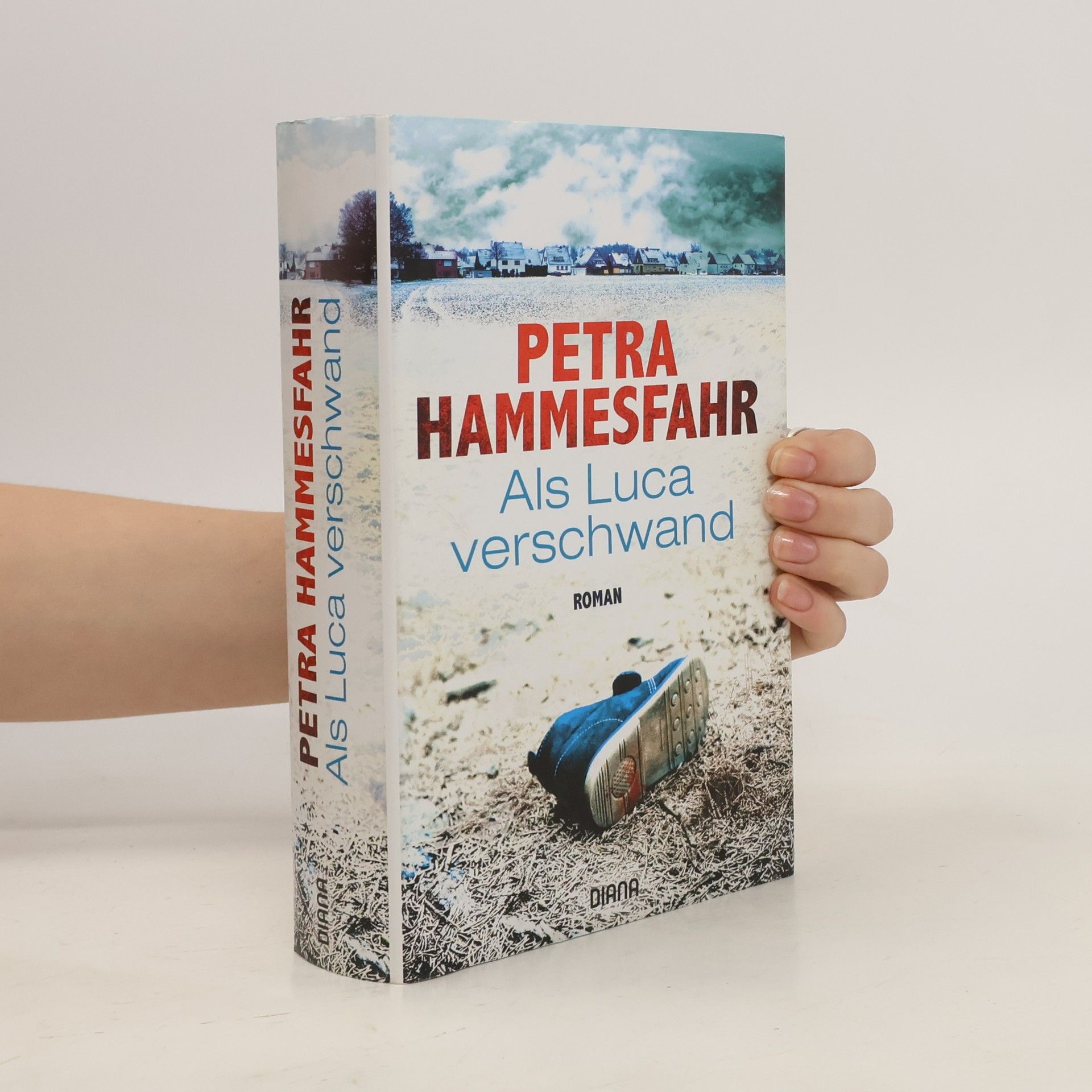 Petra Hammesfahr Als Luca verschwand