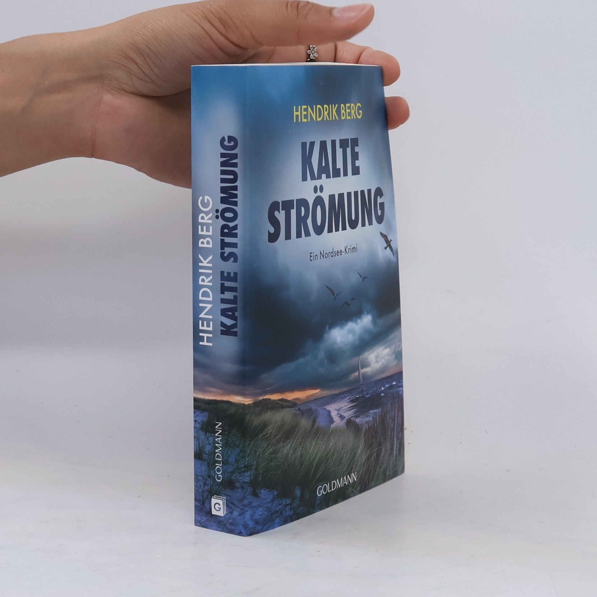 Hendrik Berg Kalte Strömung