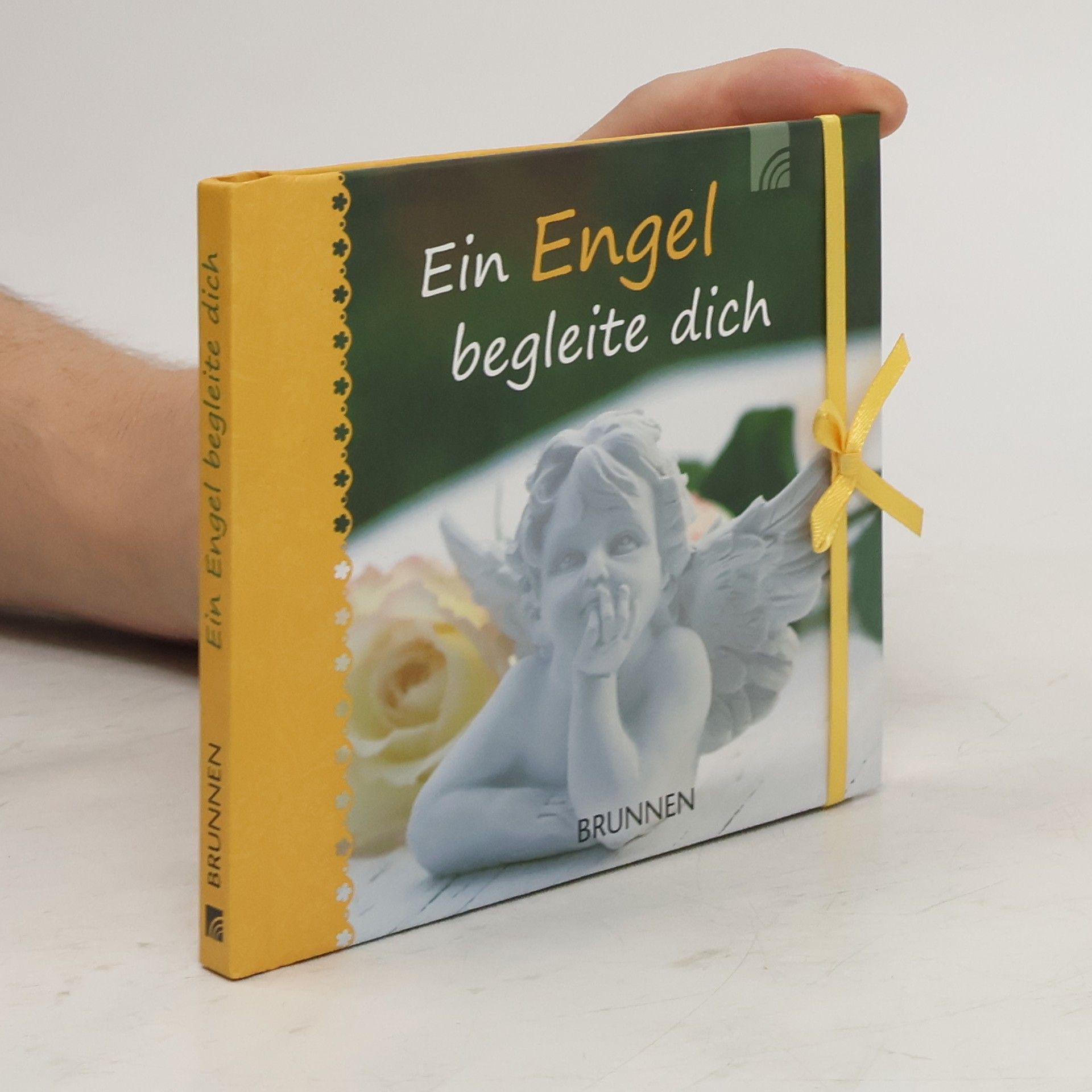 Irmtraut Fröse-Schreer Ein Engel begleite dich