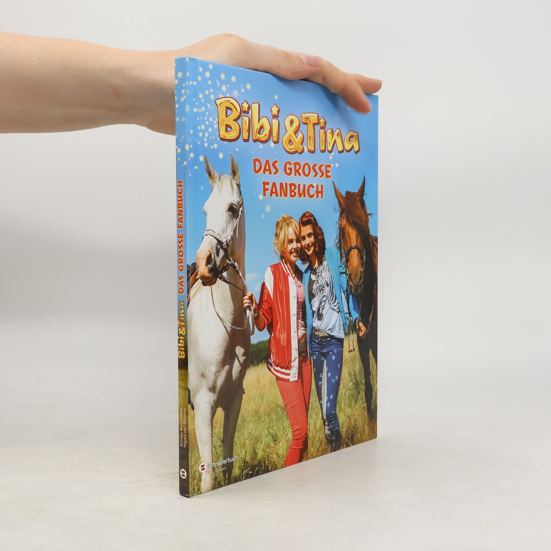 kolektiv Bibi & Tina: Das Grosse Fanbuch
