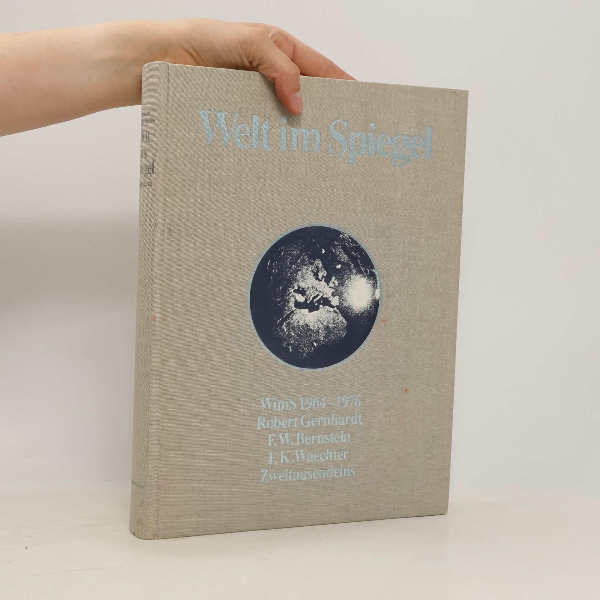 F. W. Bernstein Welt im Spiegel