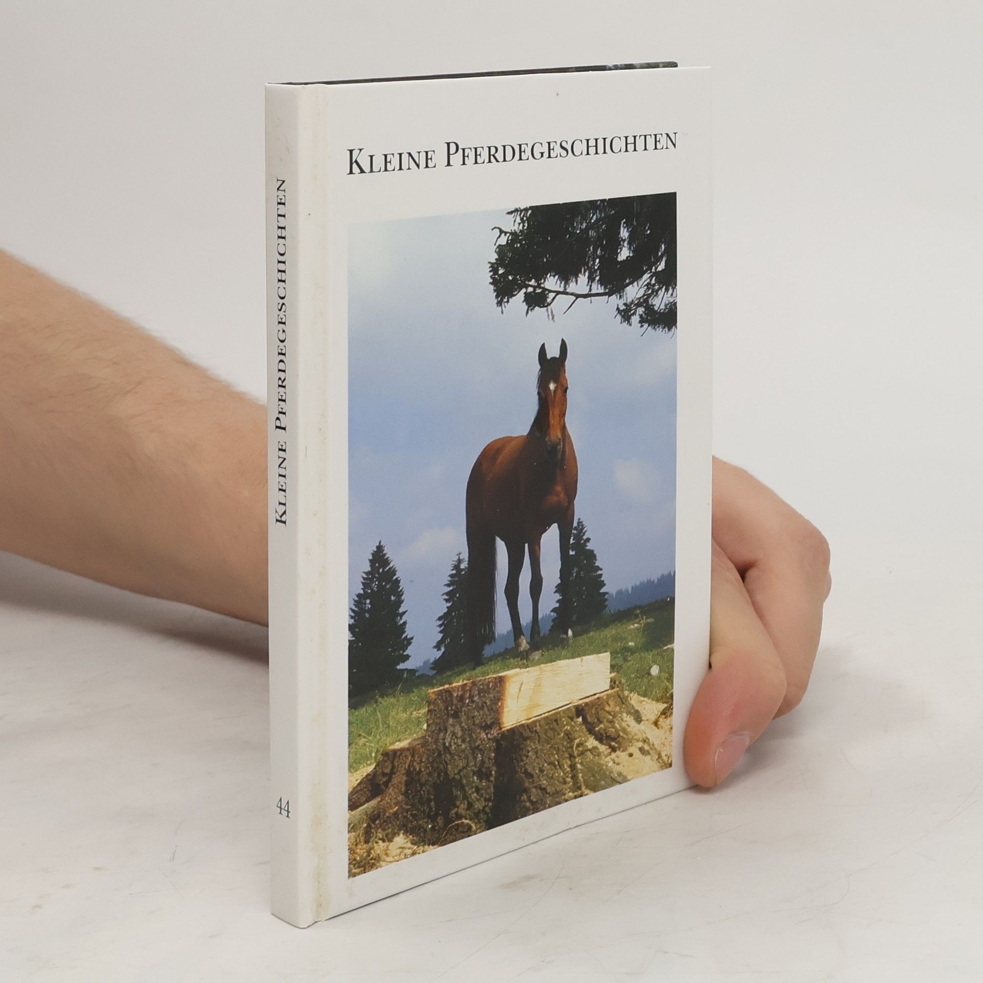 AA.VV. Kleine Pferdegeschichten 44