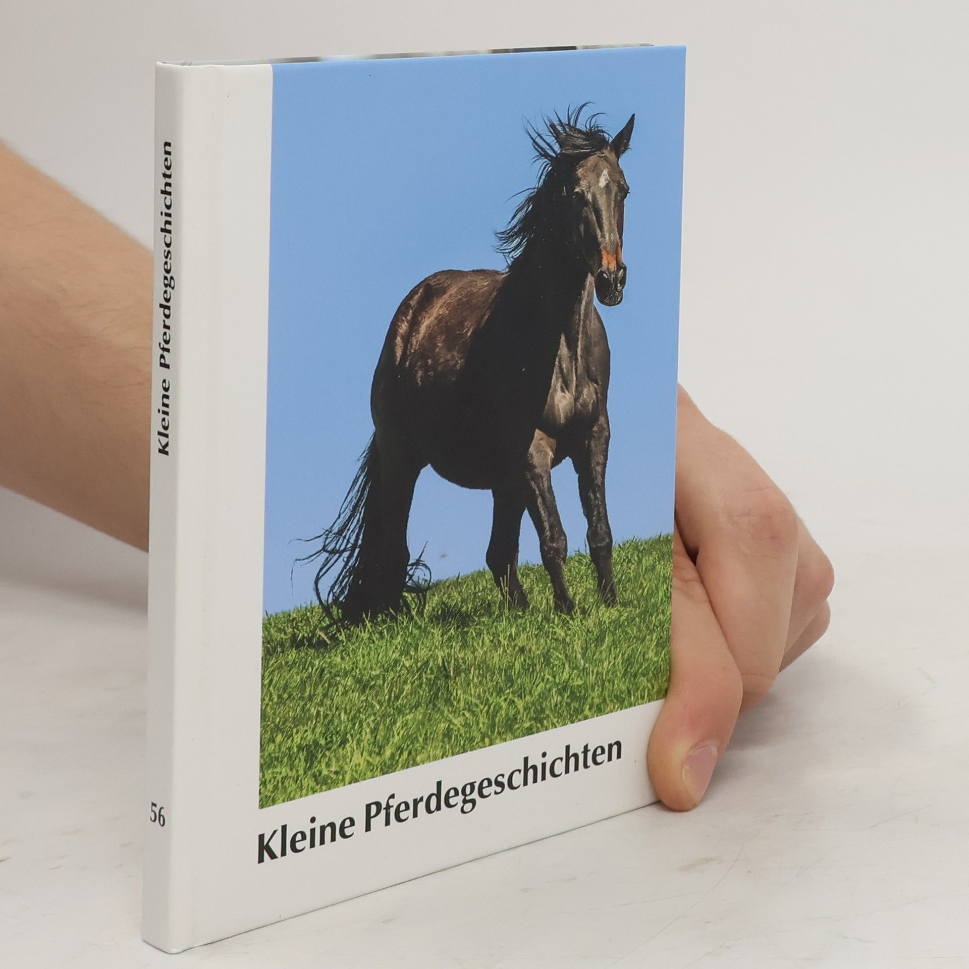 Various authors Kleine Pferdegeschichten 56