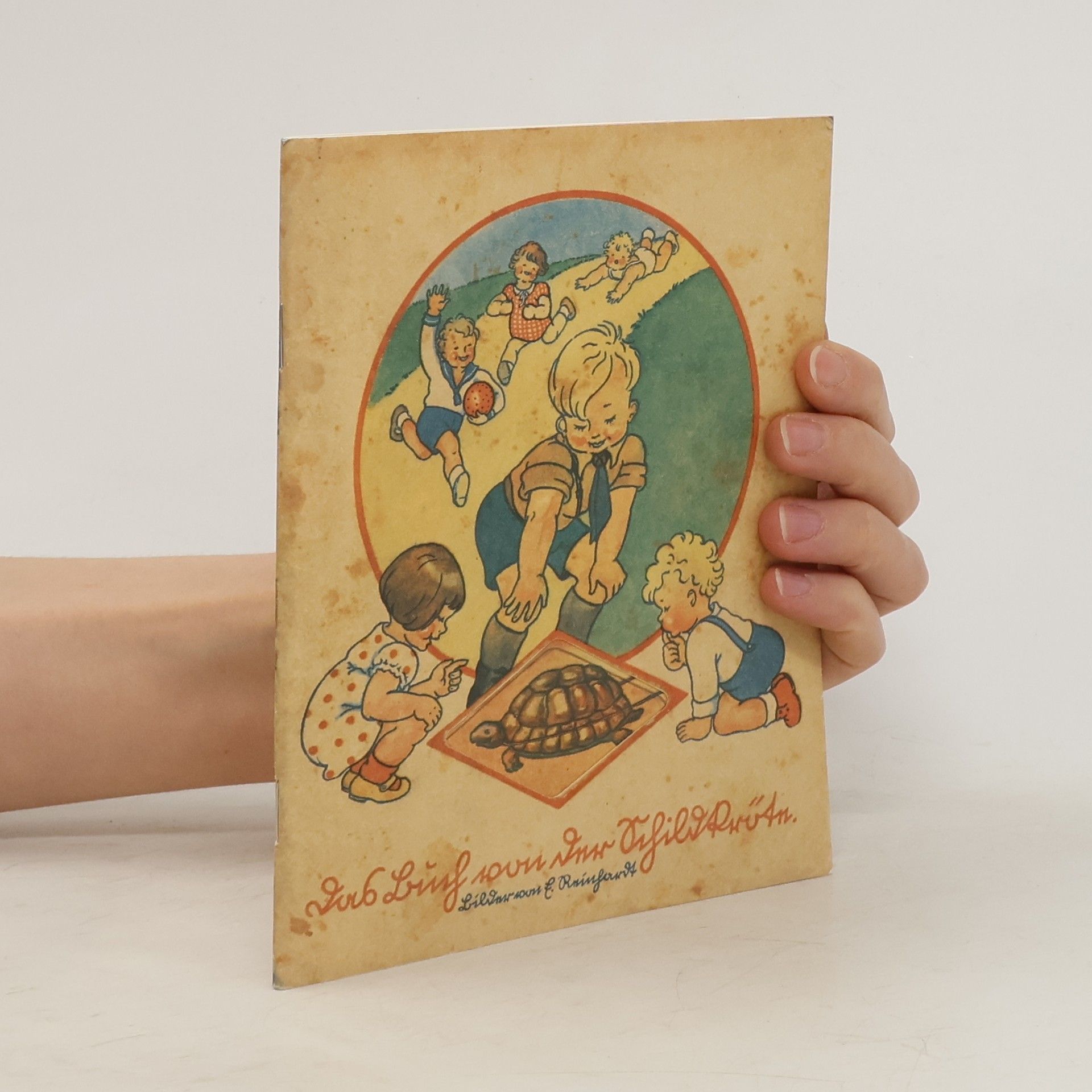 Autorenkollektiv Das Buch von der Schildkröte
