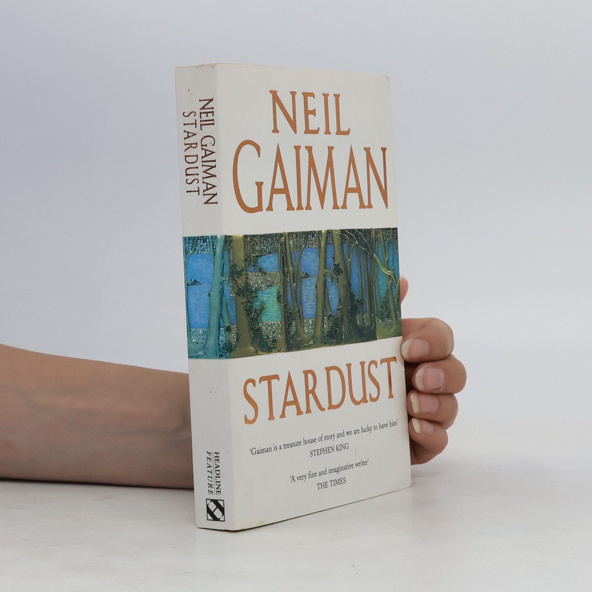 Neil Gaiman Stardust