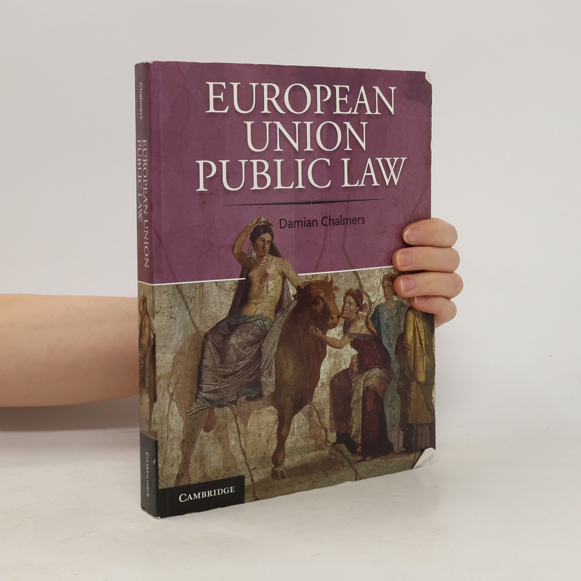 Damian Chalmers European Union Public Law