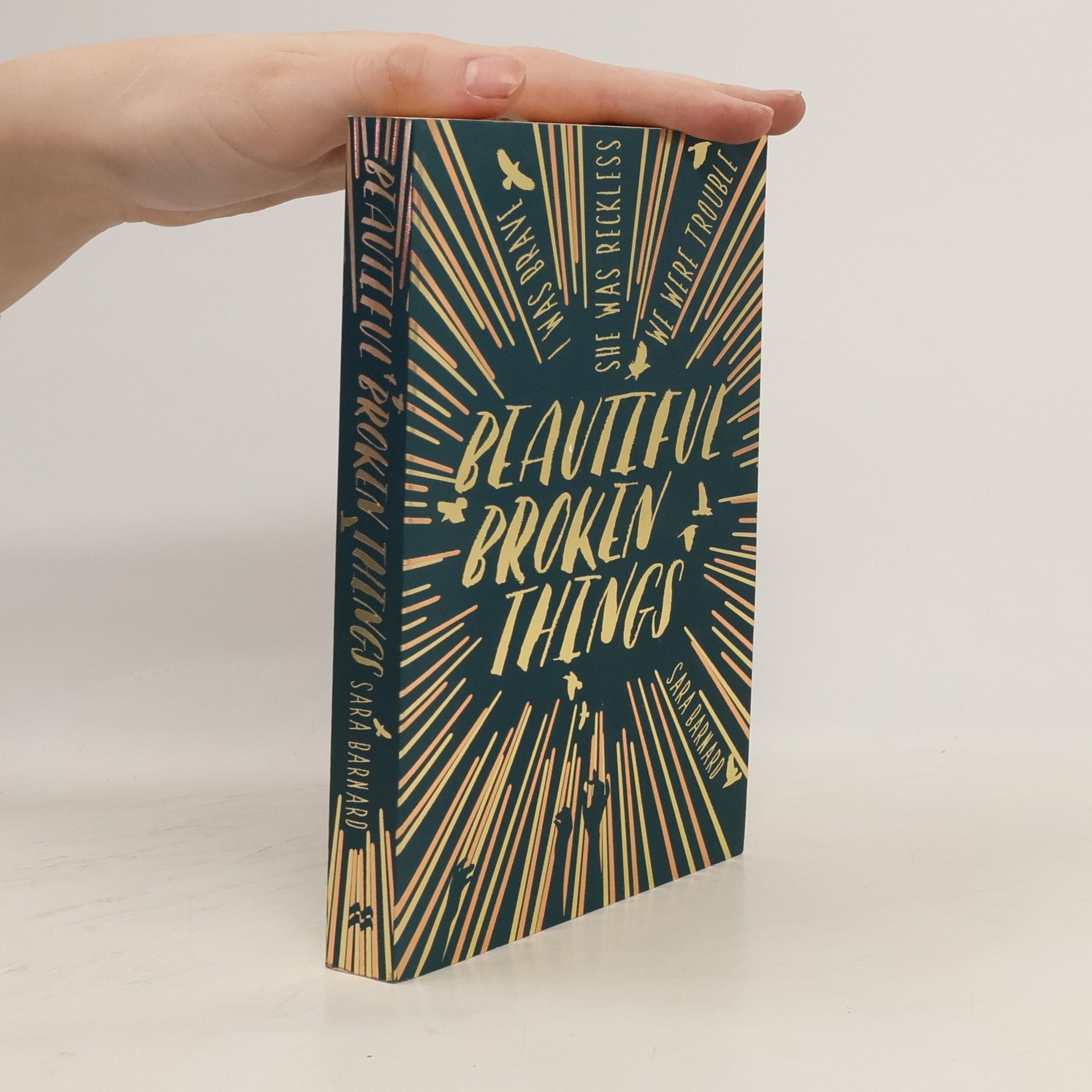 Sara Barnard Beautiful broken things