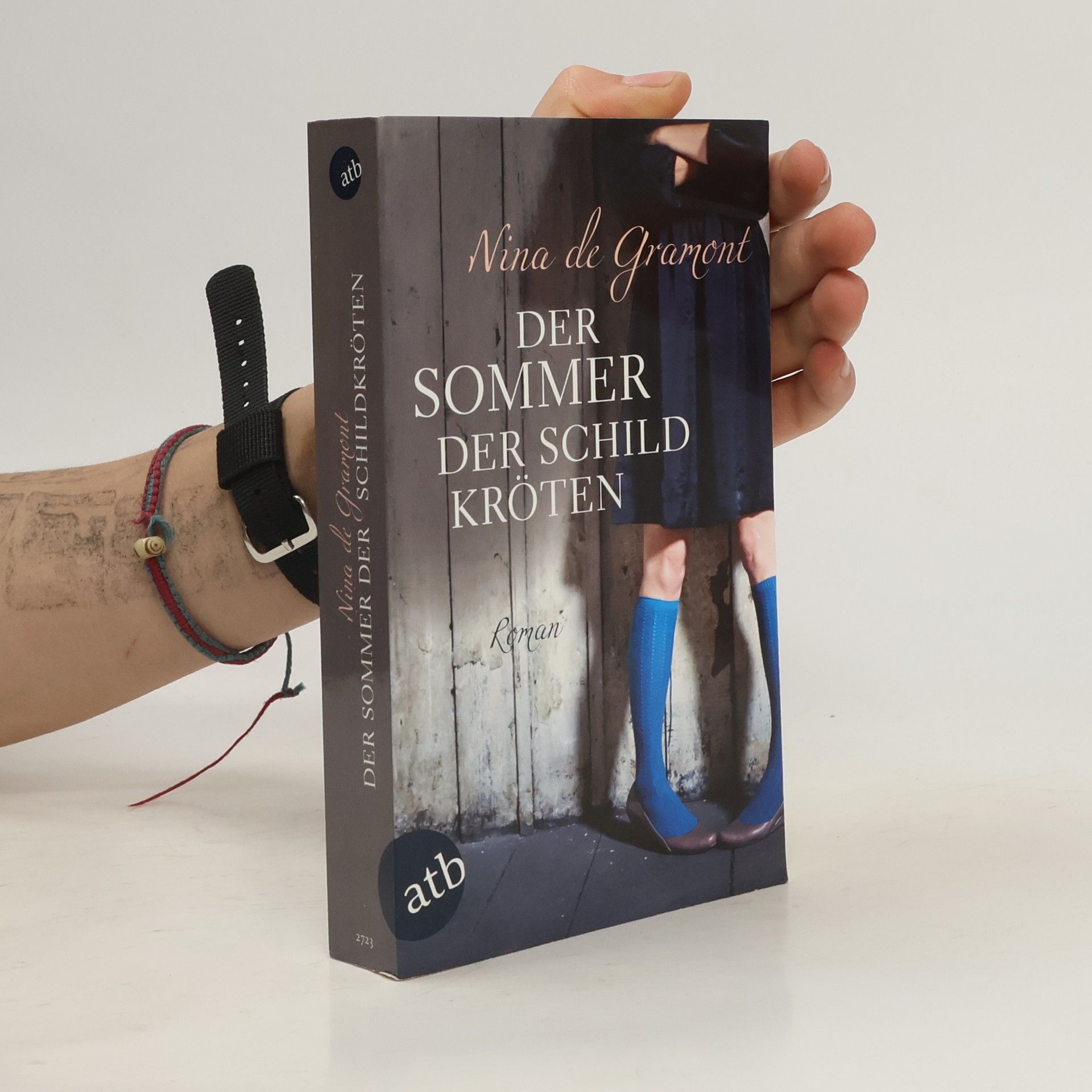 Nina de Gramont Der Sommer der Schildkröten