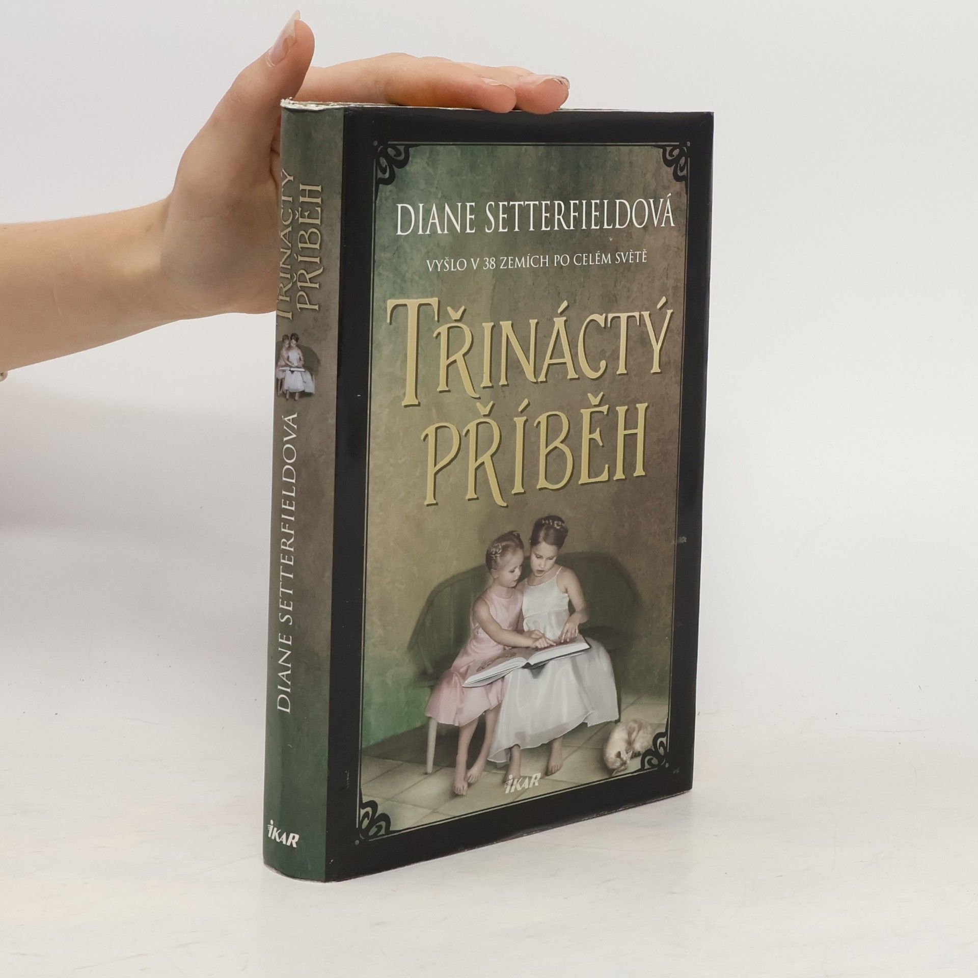 Diane Setterfield Třináctý příběh