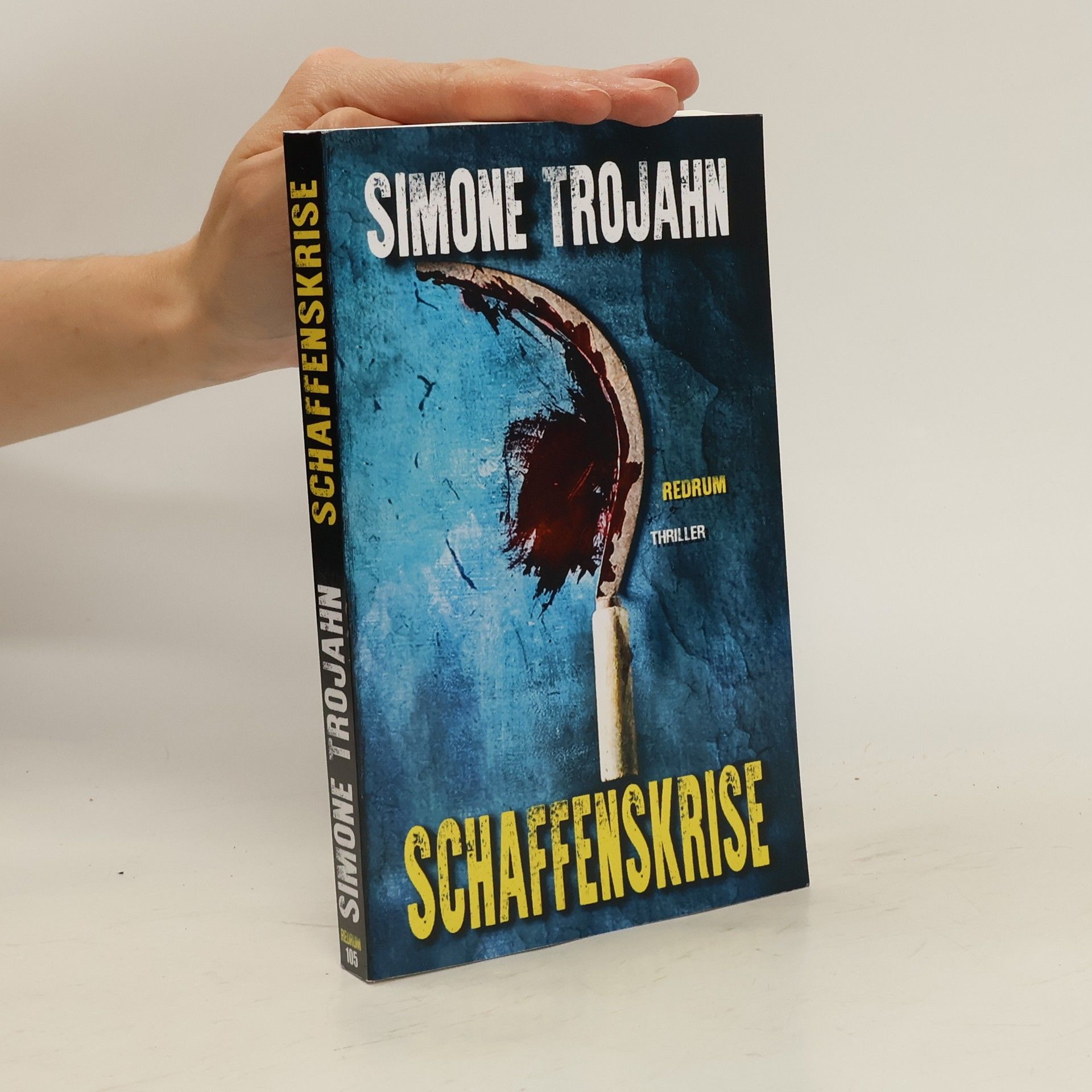 Simone Trojahn Schaffenskrise