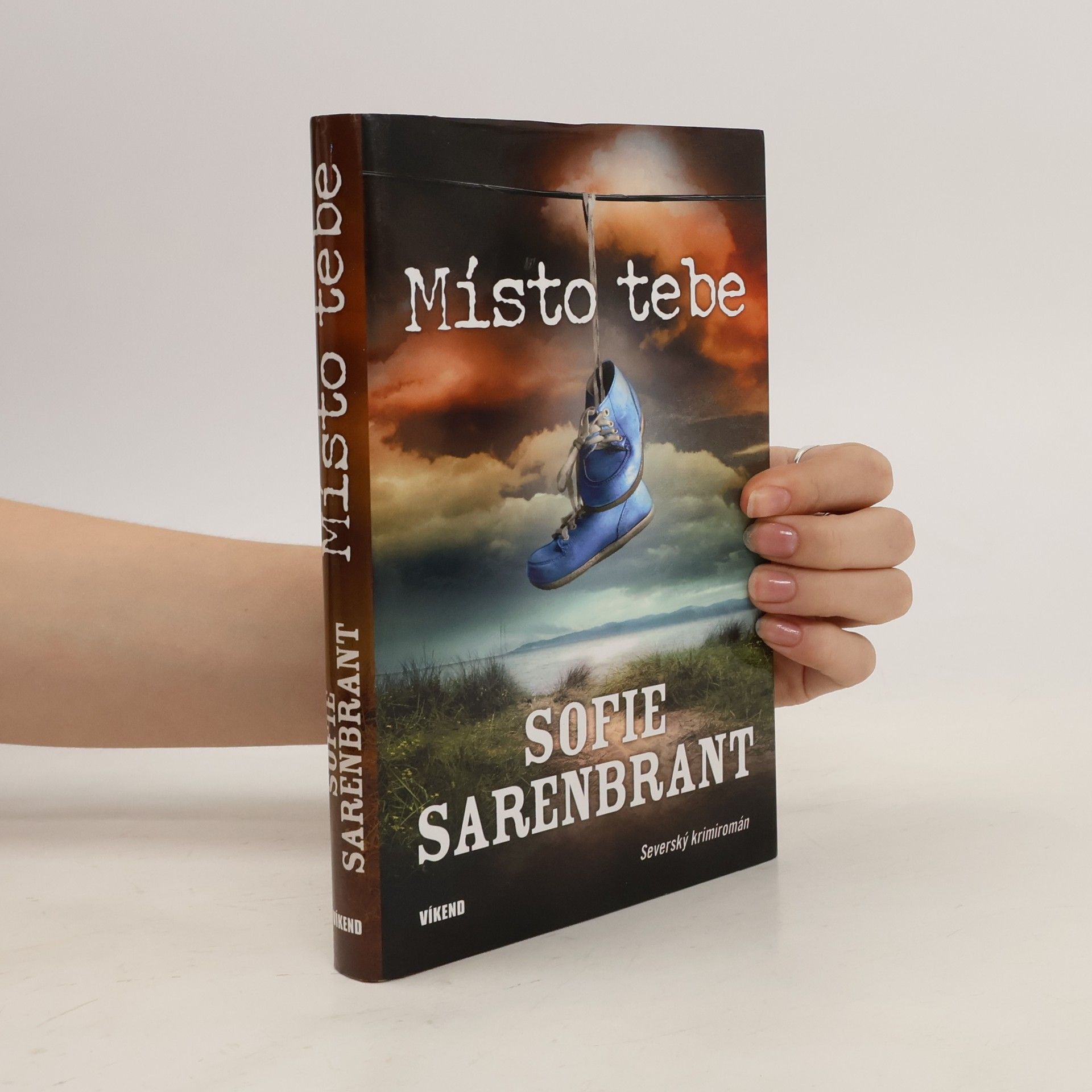 Sofie Sarenbrant Místo tebe
