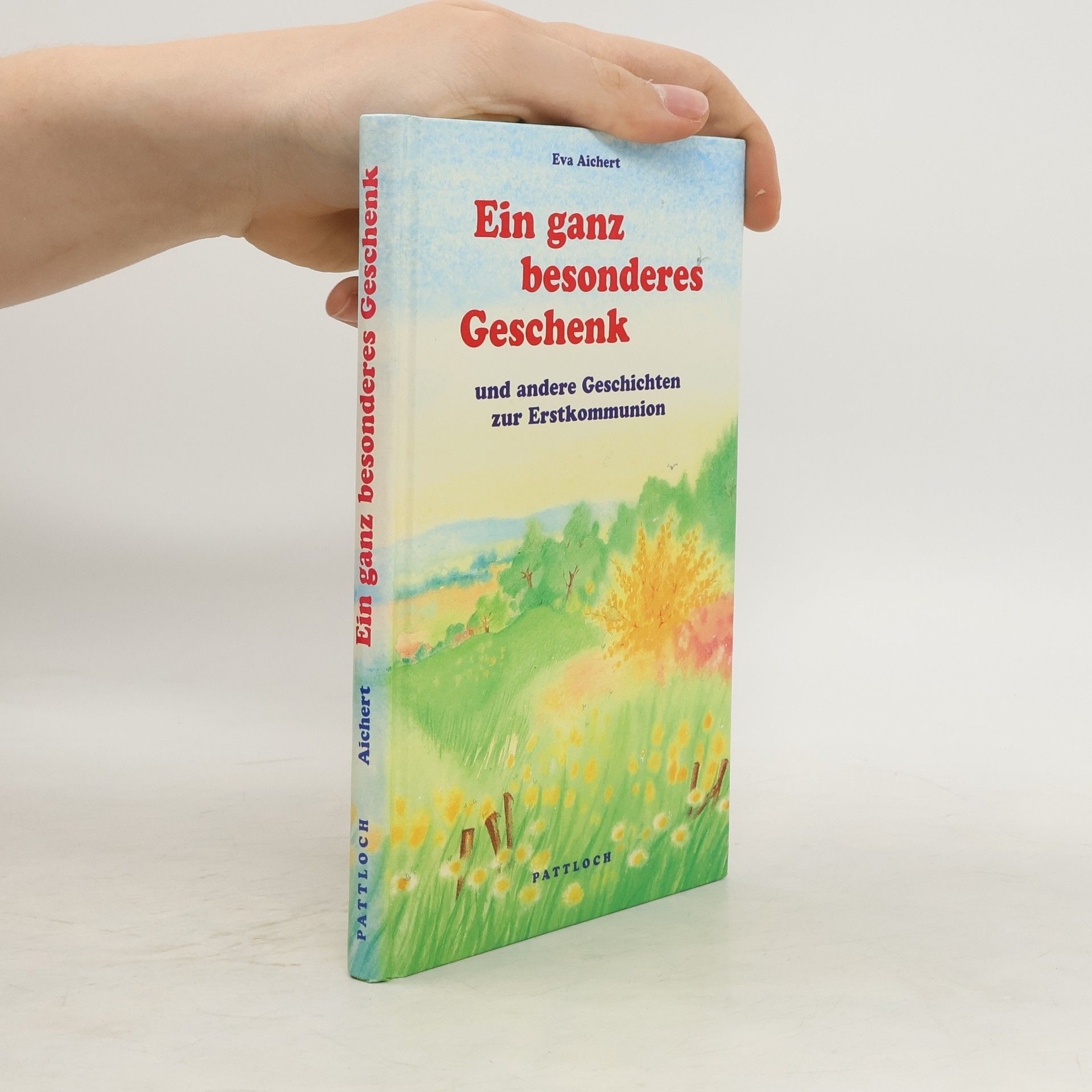 Eva Aichert Ein ganz besonderes Geschenk und andere Geschichten zur Erstkommunion
