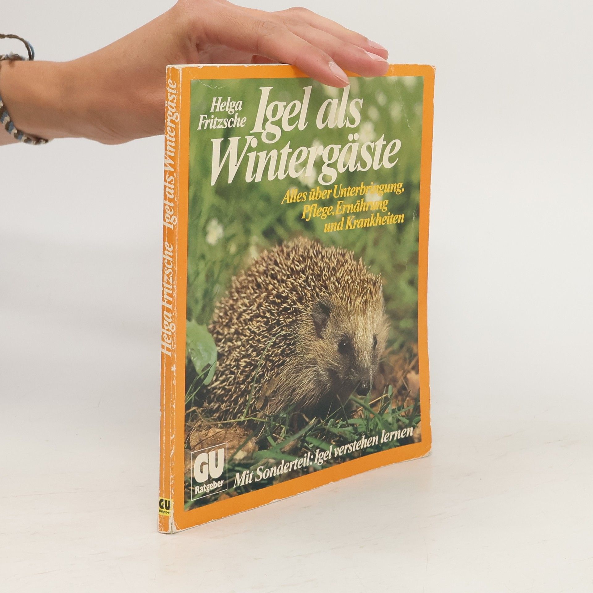 Helga Fritzsche Igel als Wintergäste