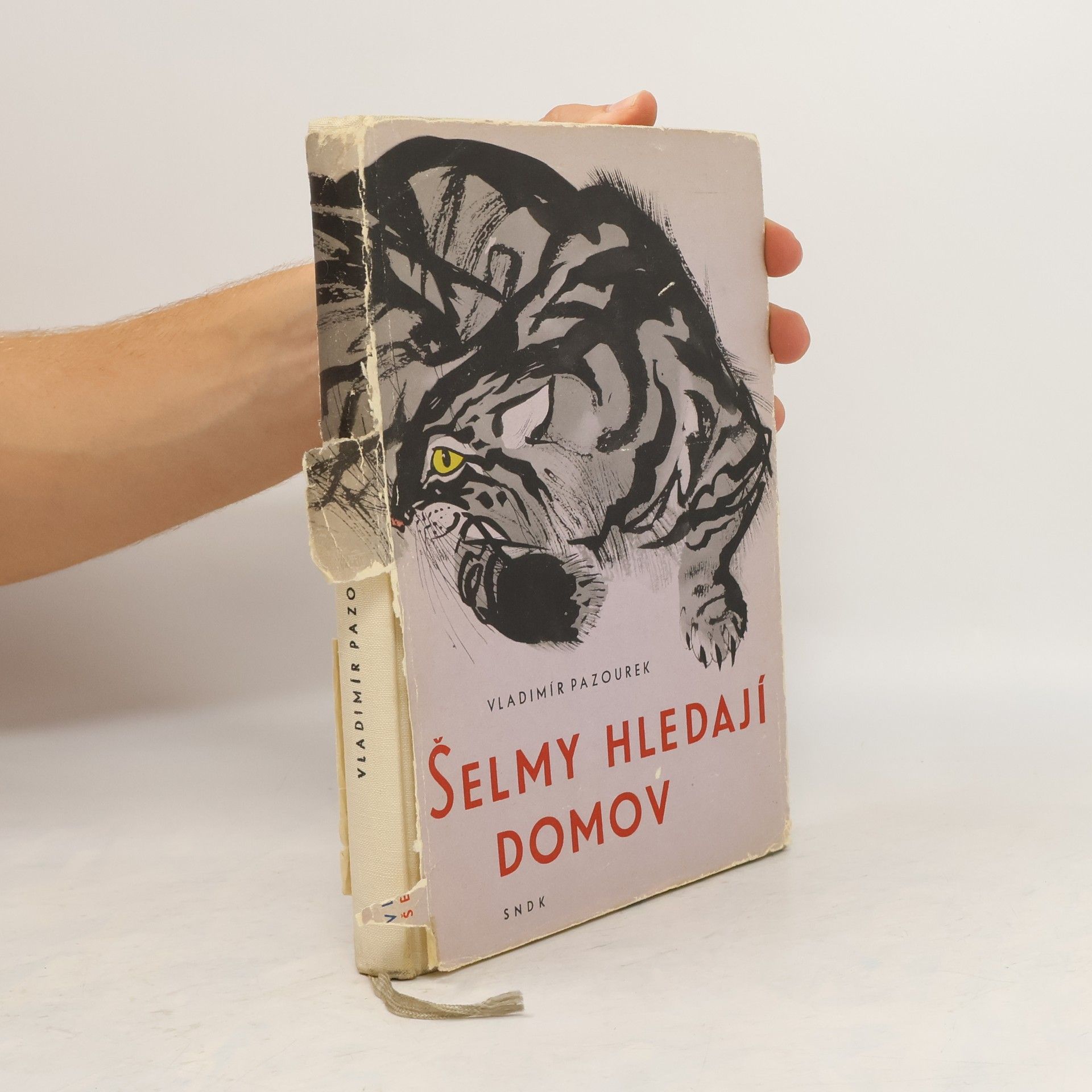 Vladimír Pazourek Šelmy hledají domov