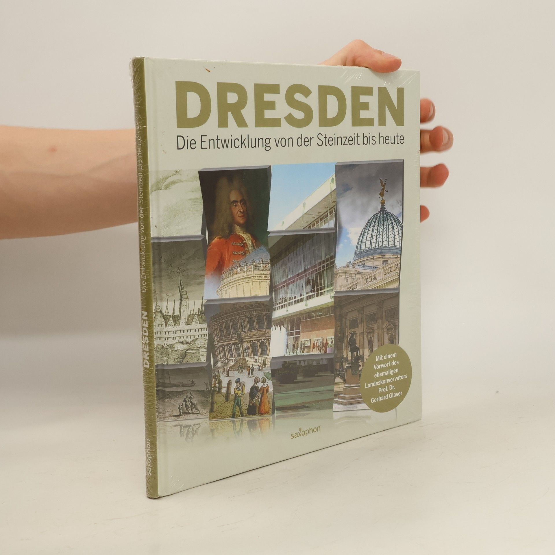Claudia Schade Dresden - die Entwicklung von der Steinzeit bis heute