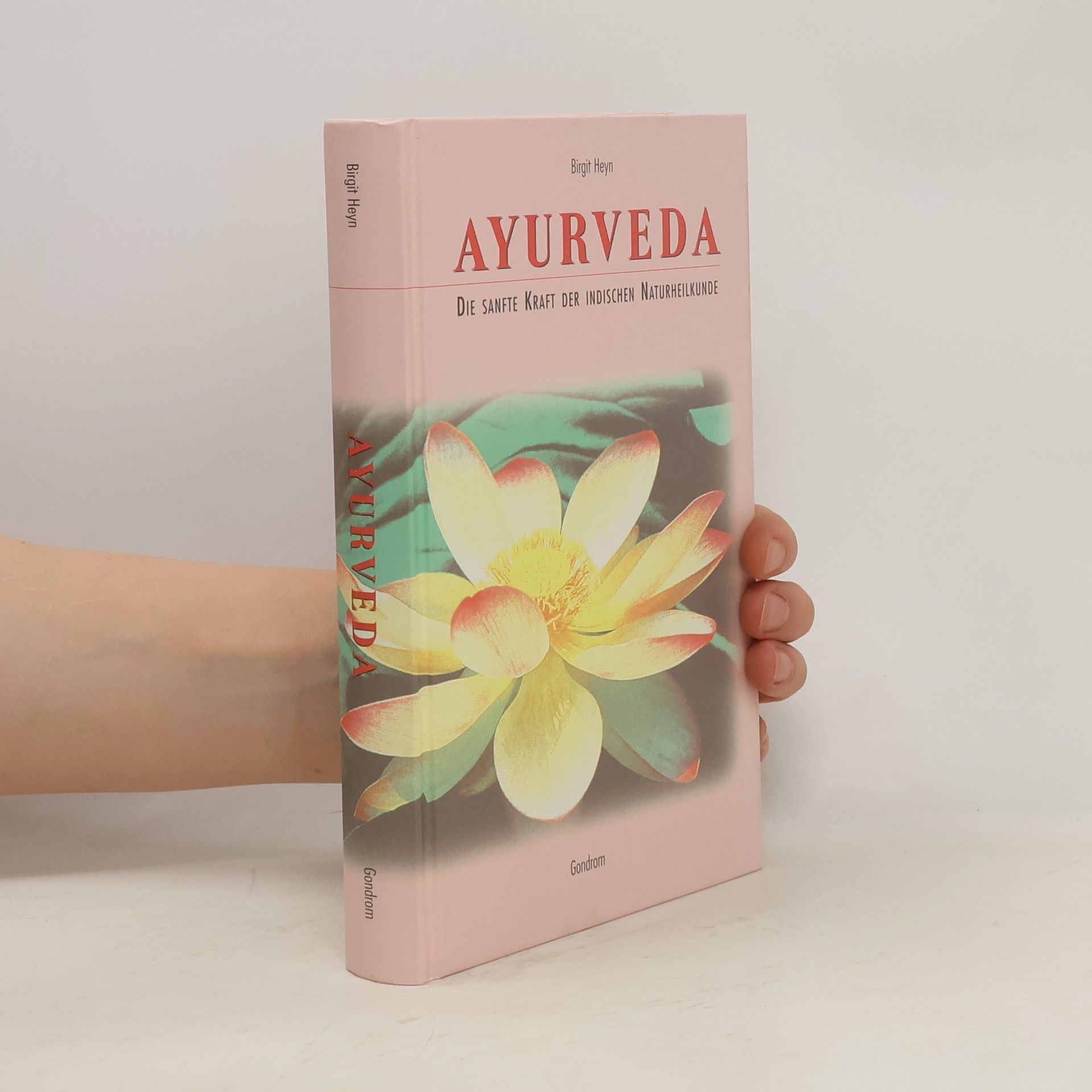 Birgit Heyn Ayurveda
