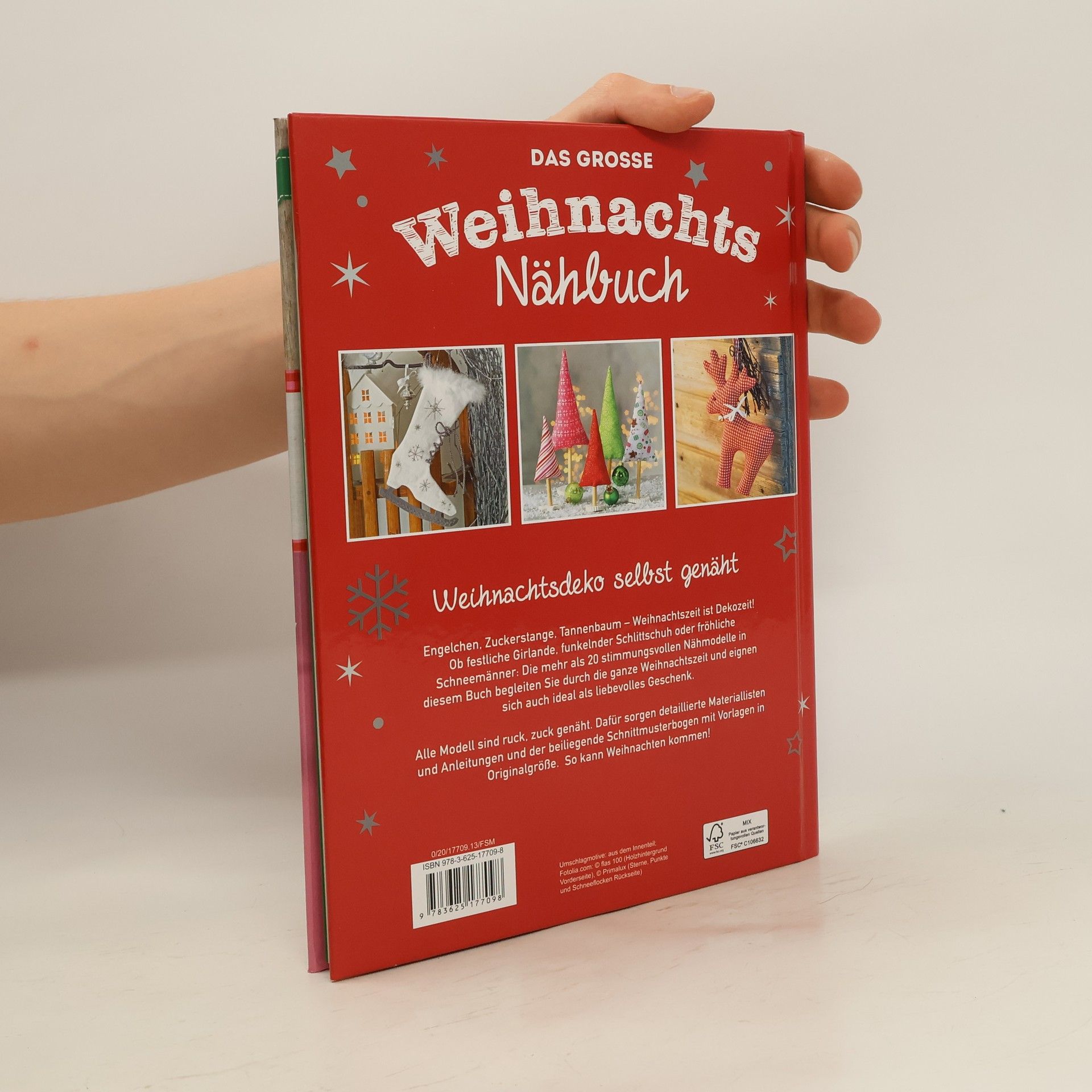 Kolektiv autorů Das grosse Weihnachts Nähbuch