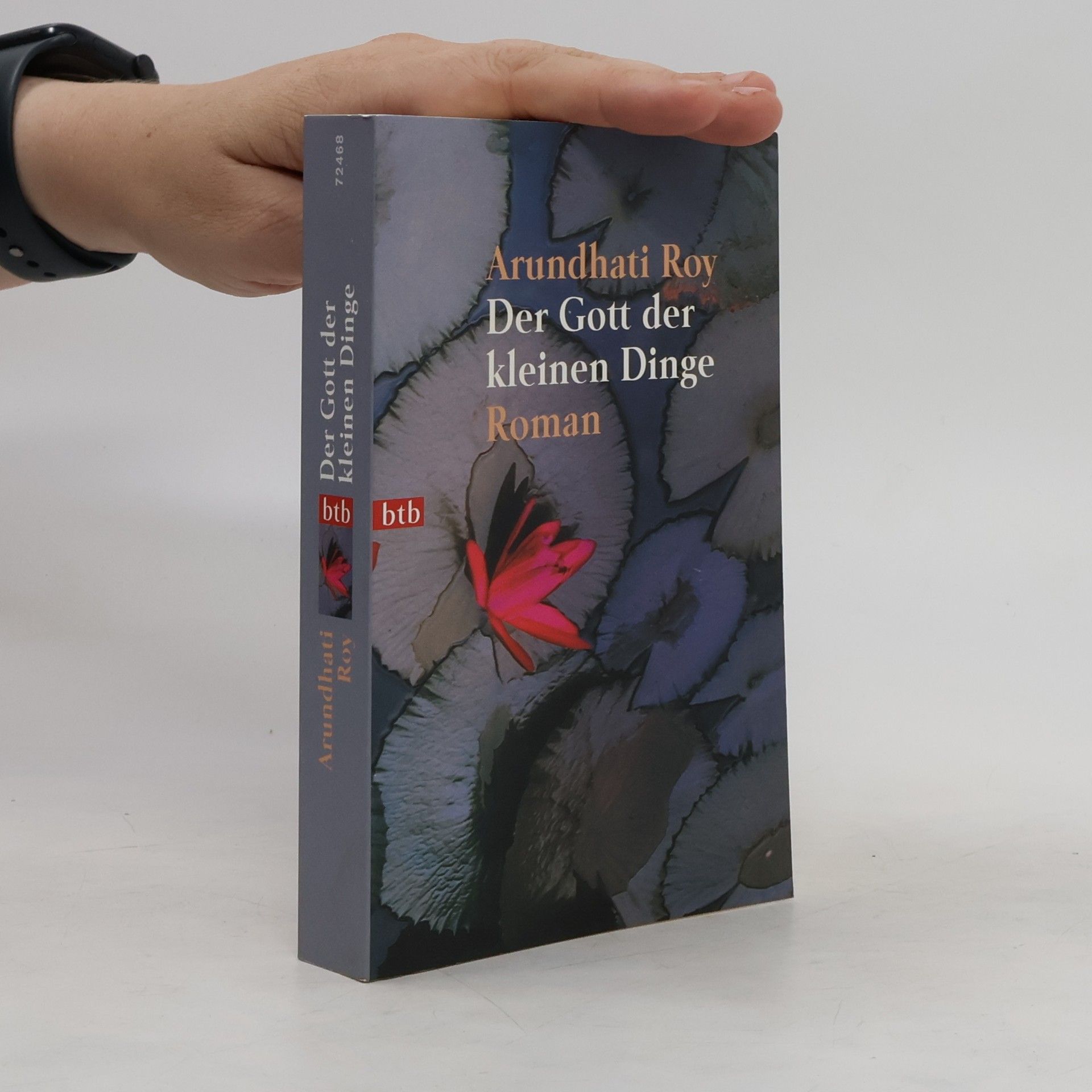 Arundhati Roy Der Gott der kleinen Dinge