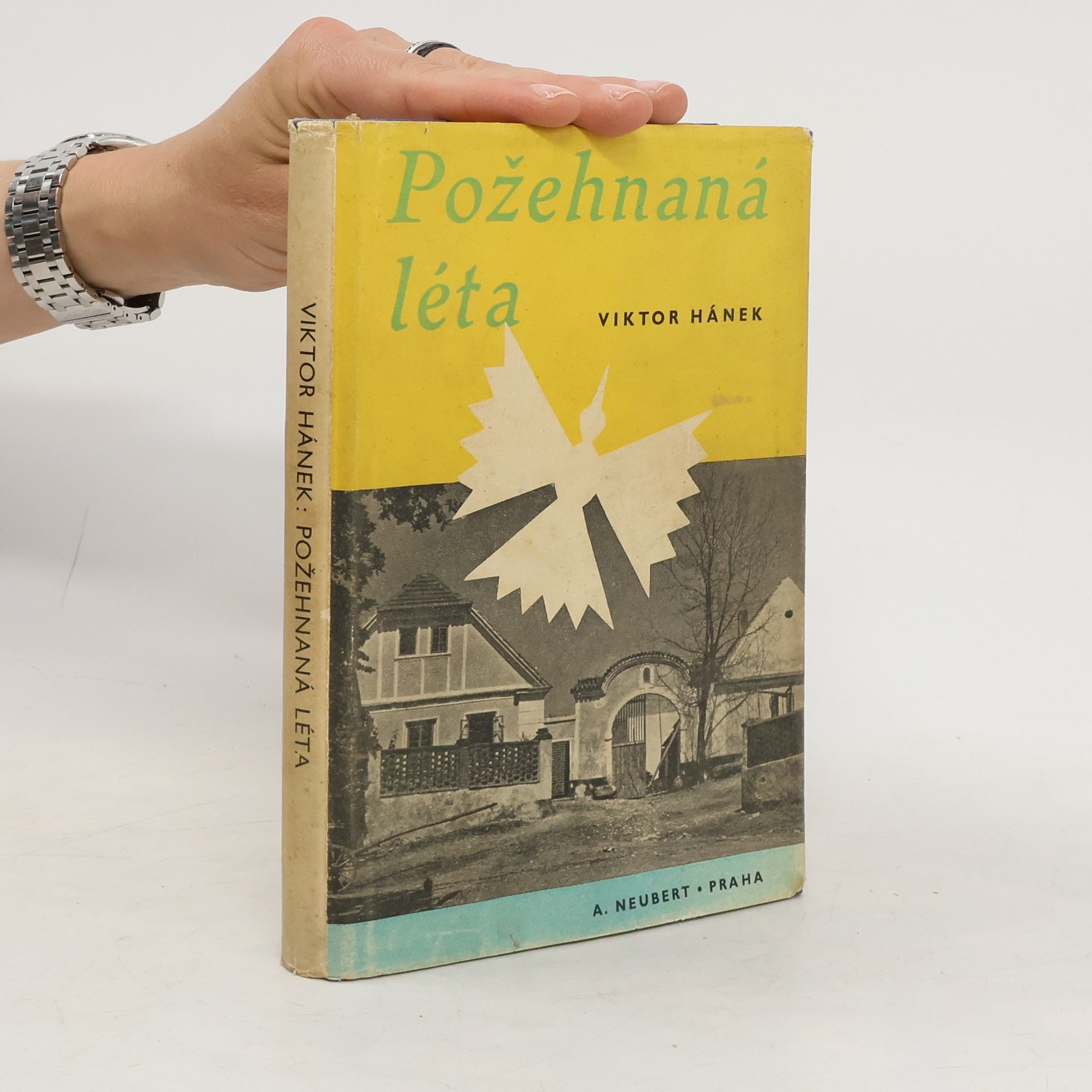 Viktor Hánek Požehnaná léta