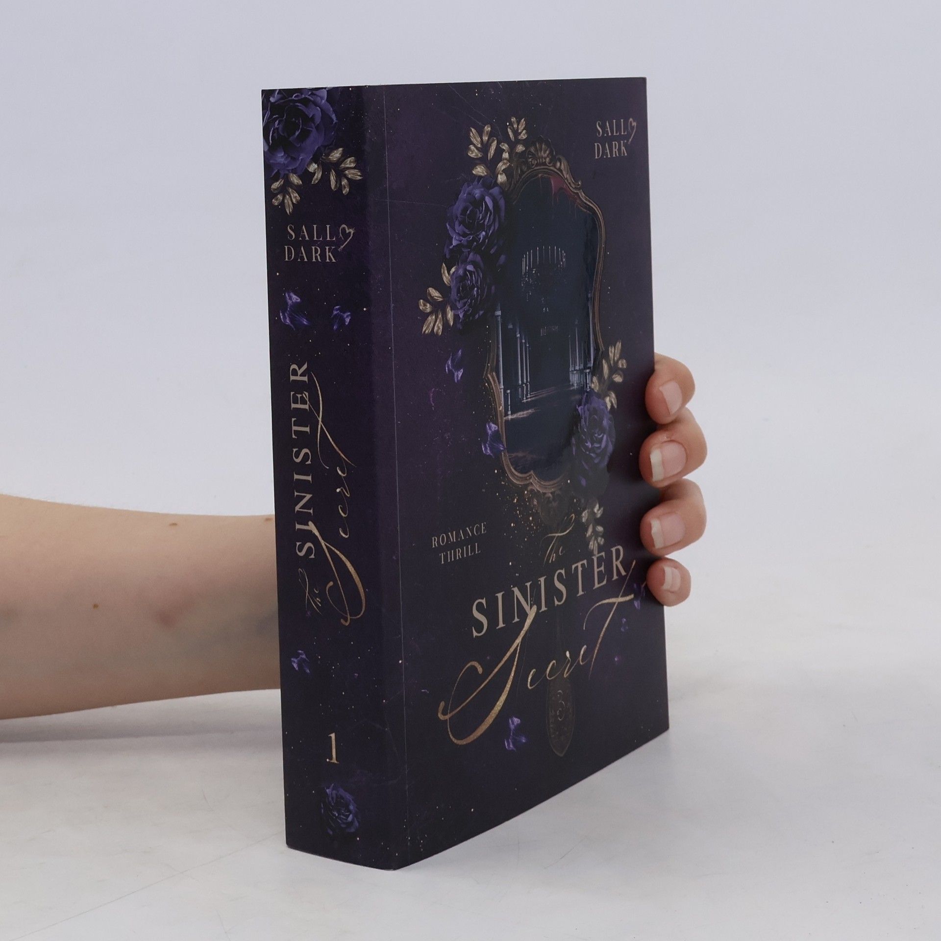 Sally Dark The Sinister Secret 1