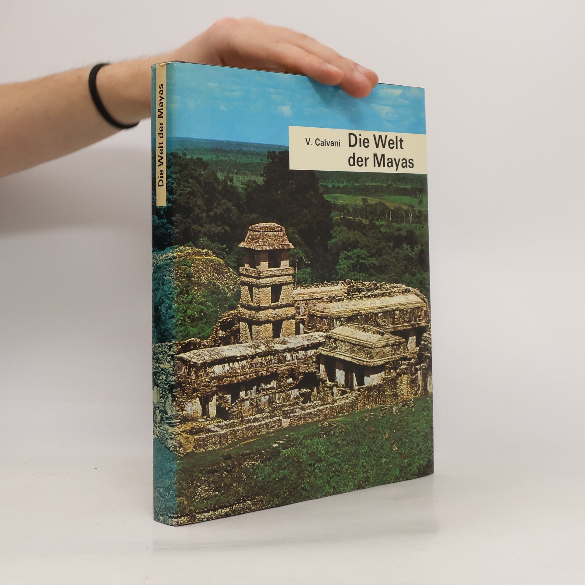 Vittoria Calvani Die Welt der Mayas