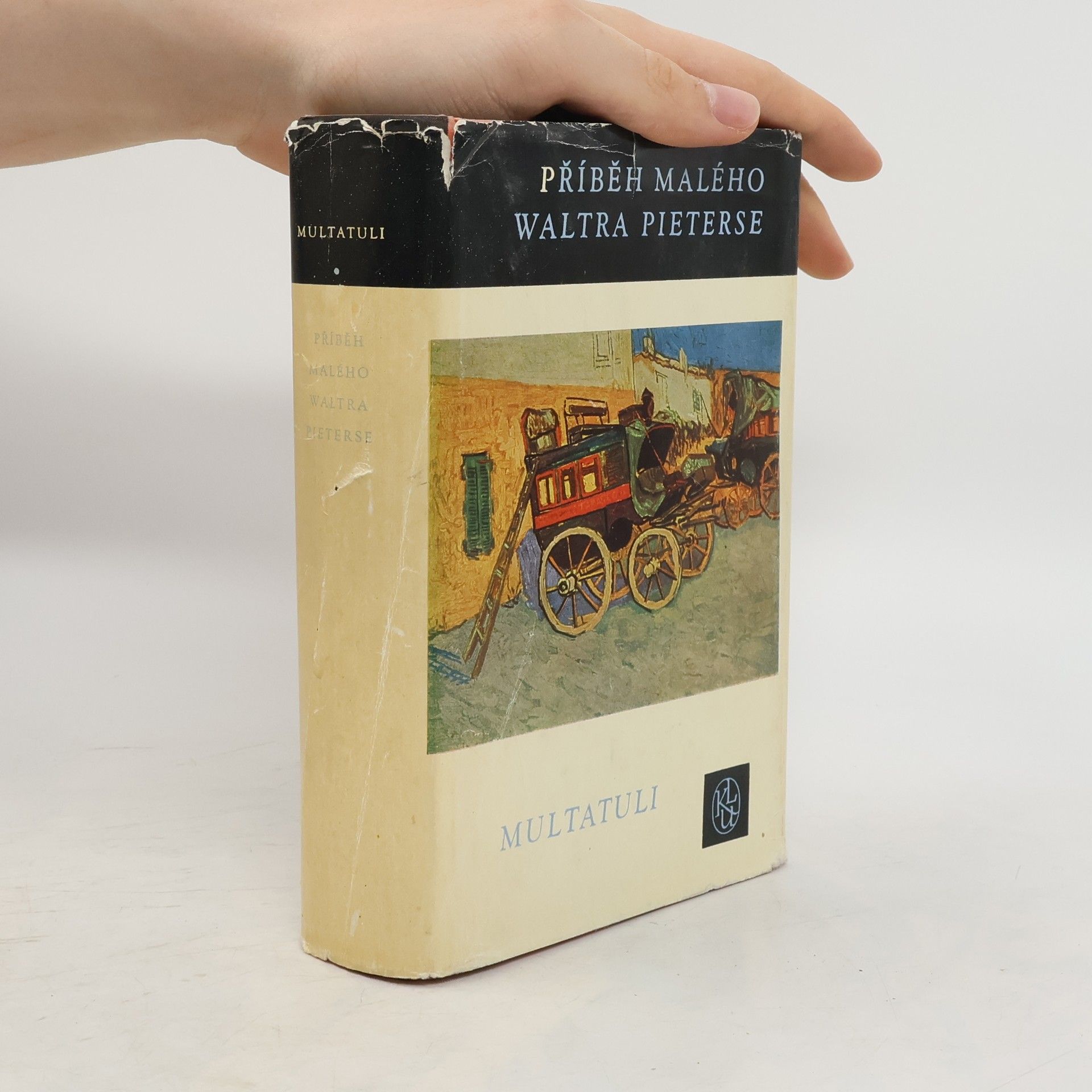 kolektiv Příběh malého Waltra Pieterse