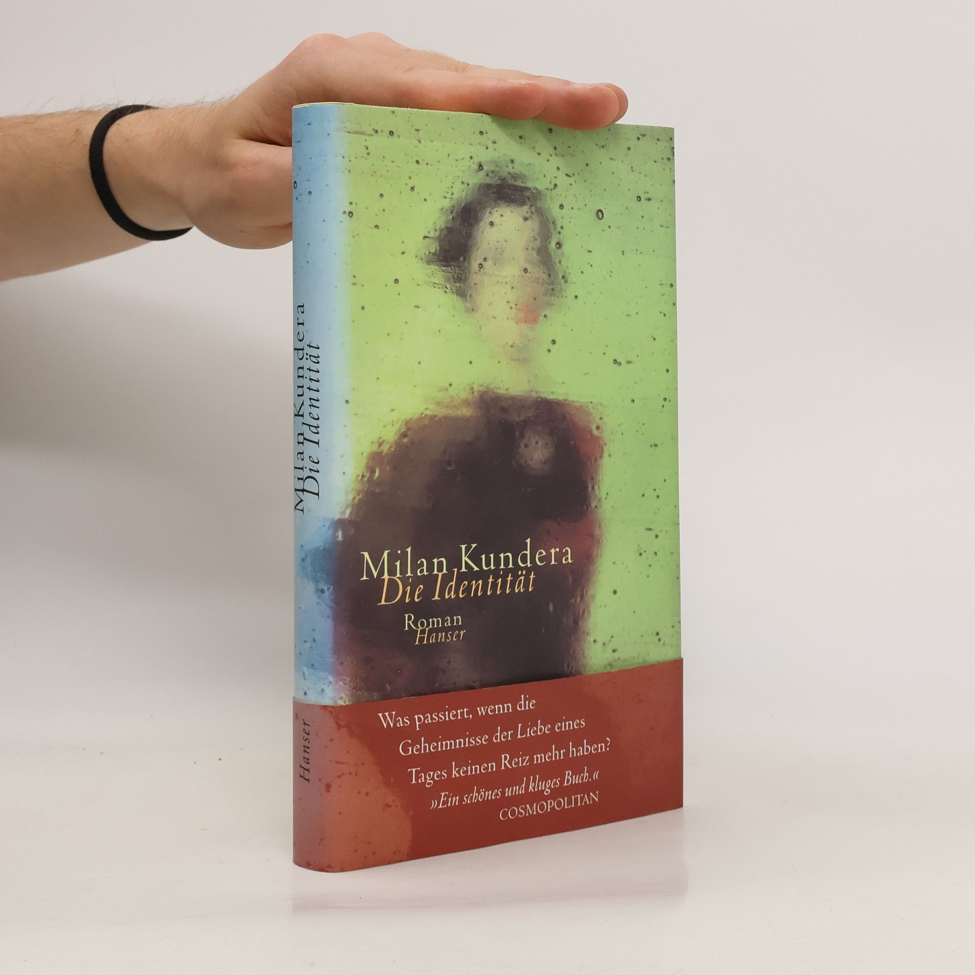 Milan Kundera Die Identität.