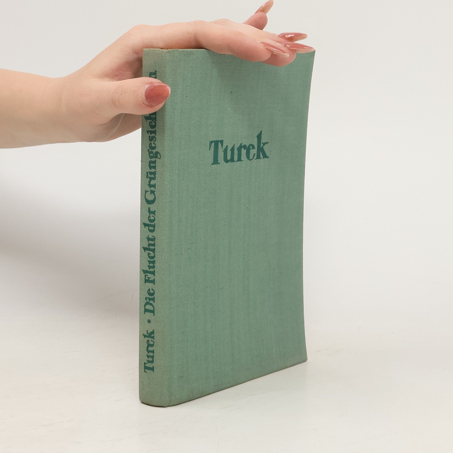 Ludwig Turek Die Flucht der Grungesichtigen