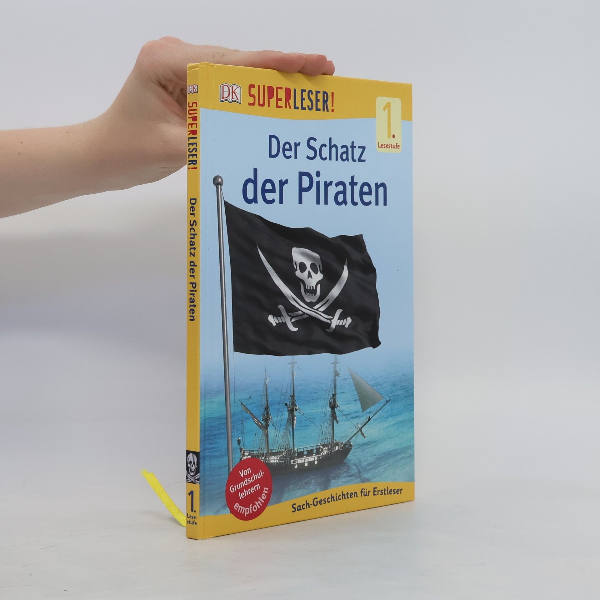 Vladimir Aleksic Der Schatz der Piraten