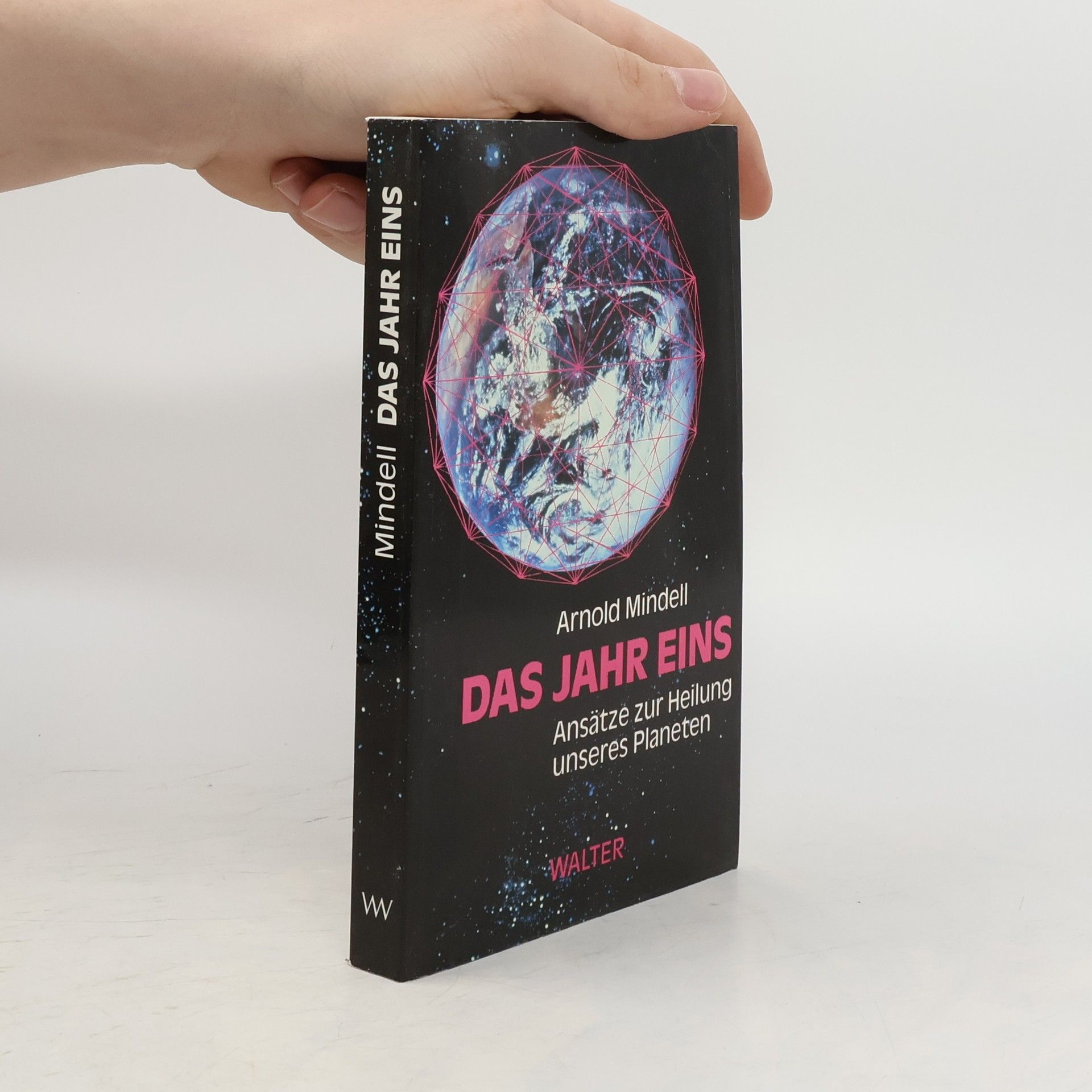 Arnold Mindell Das Jahr eins