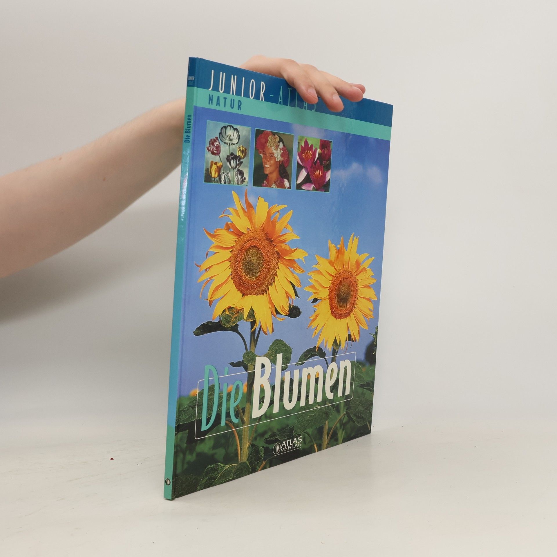 Collective Die Blumen