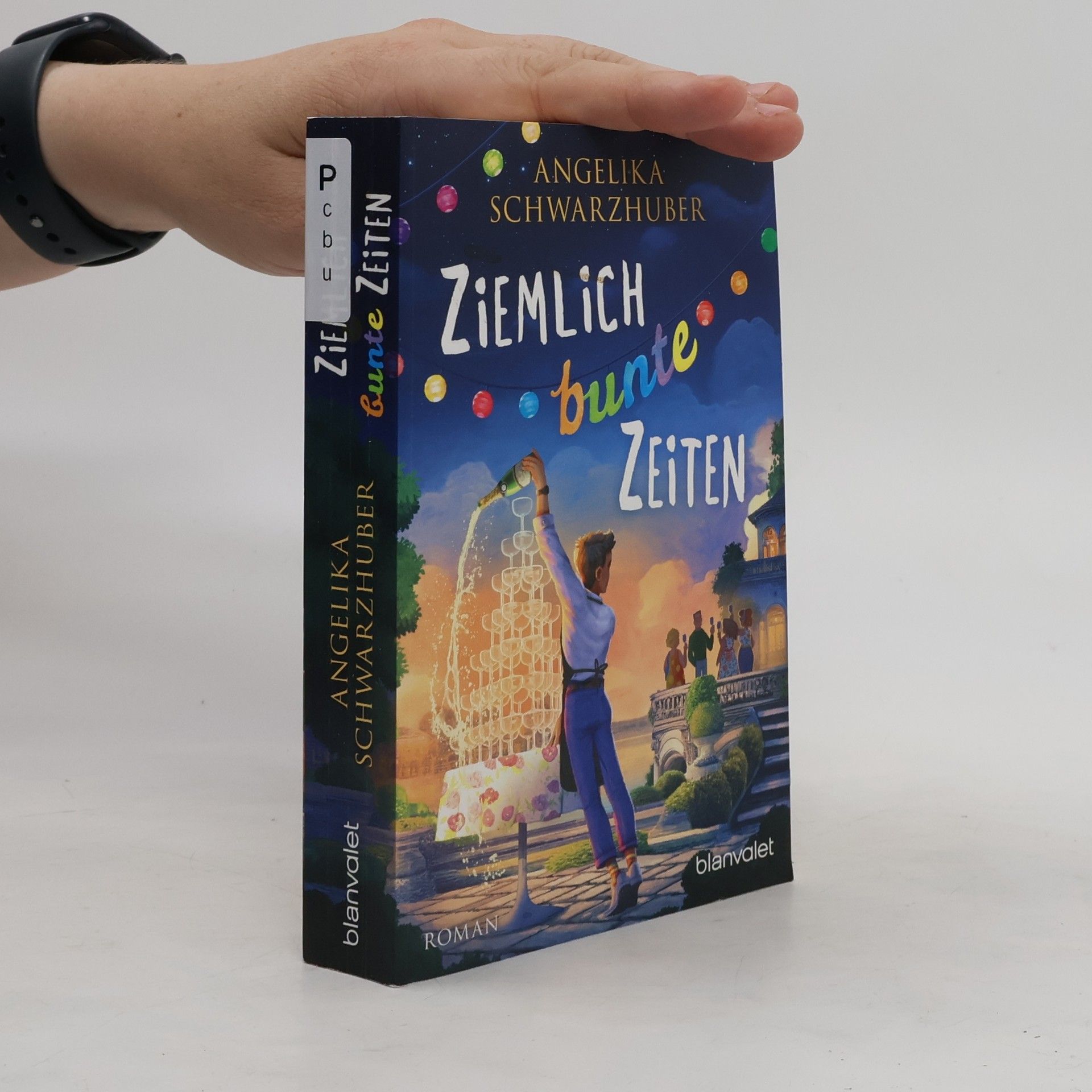 Angelika Schwarzhuber Ziemlich bunte Zeiten
