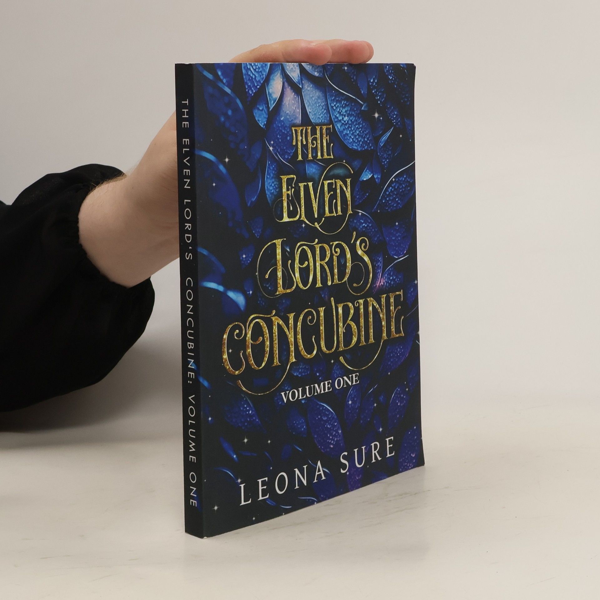 Leona Sure  The Elven Lord’s Concubine