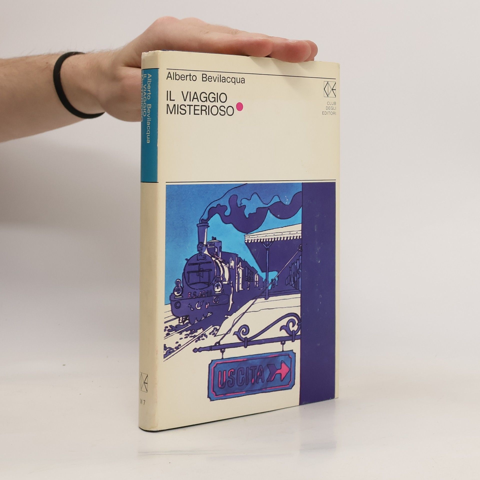 Alberto Bevilacqua Il viaggio misterioso