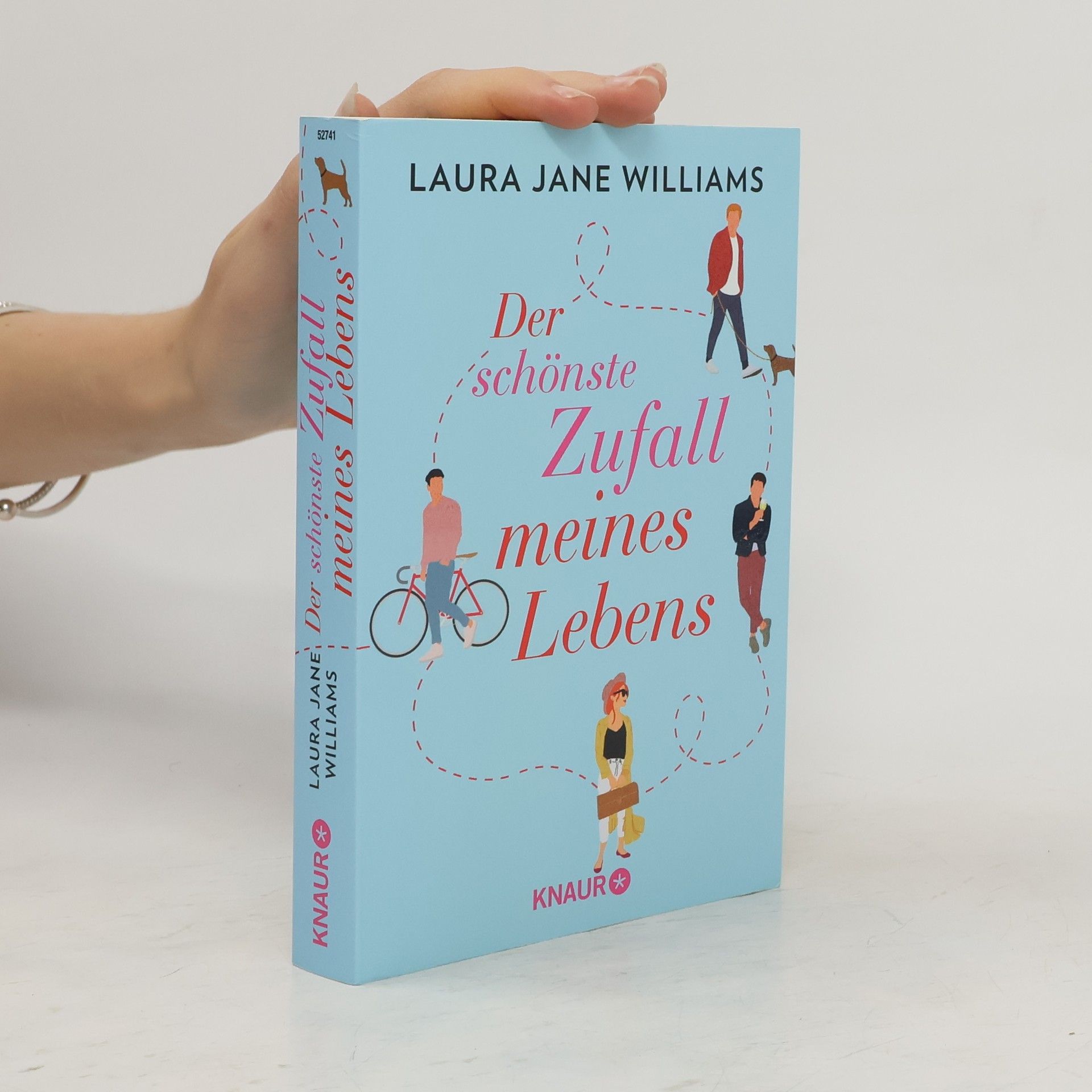 Laura Jane Williams Der schönste Zufall meines Lebens