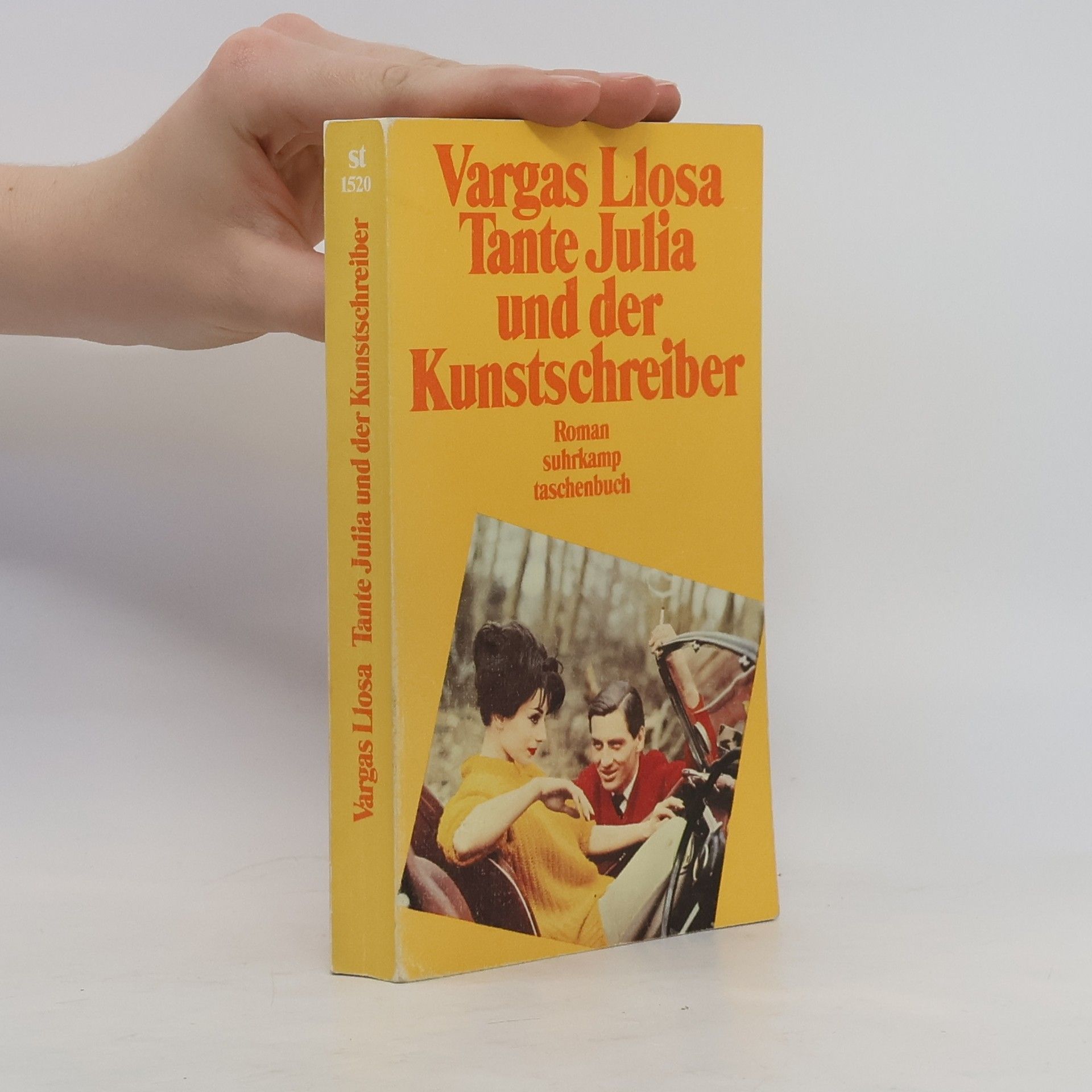 Mario Vargas Llosa Tante Julia und der Kunstschreiber