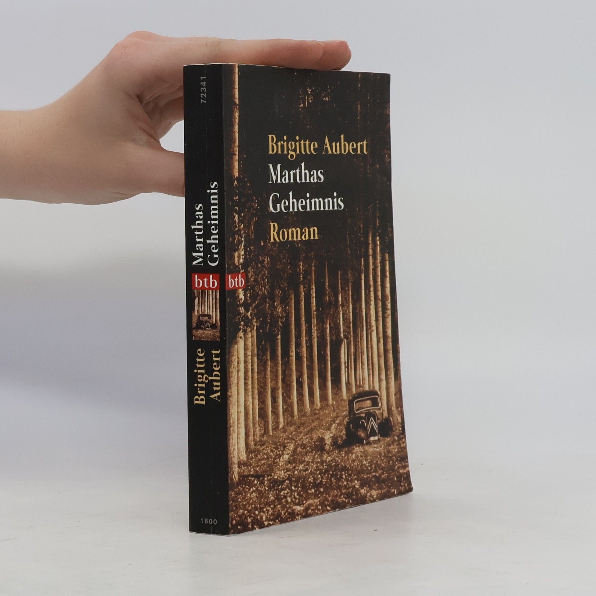 Brigitte Aubert Marthas Geheimnis