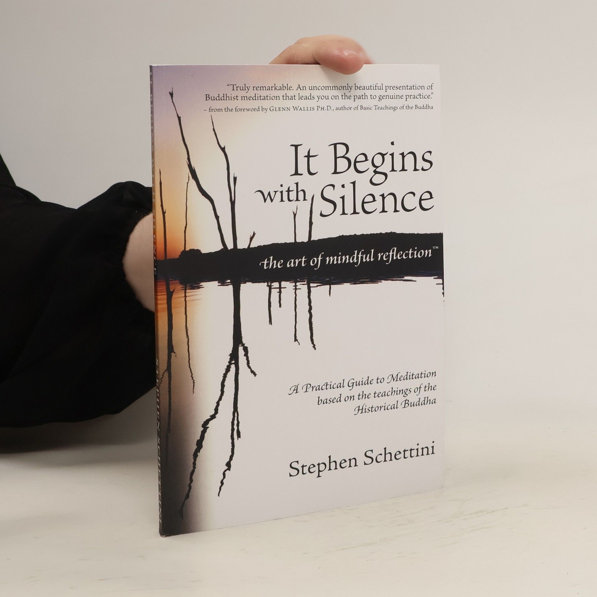 Stephen Schettini It Begins with Silence