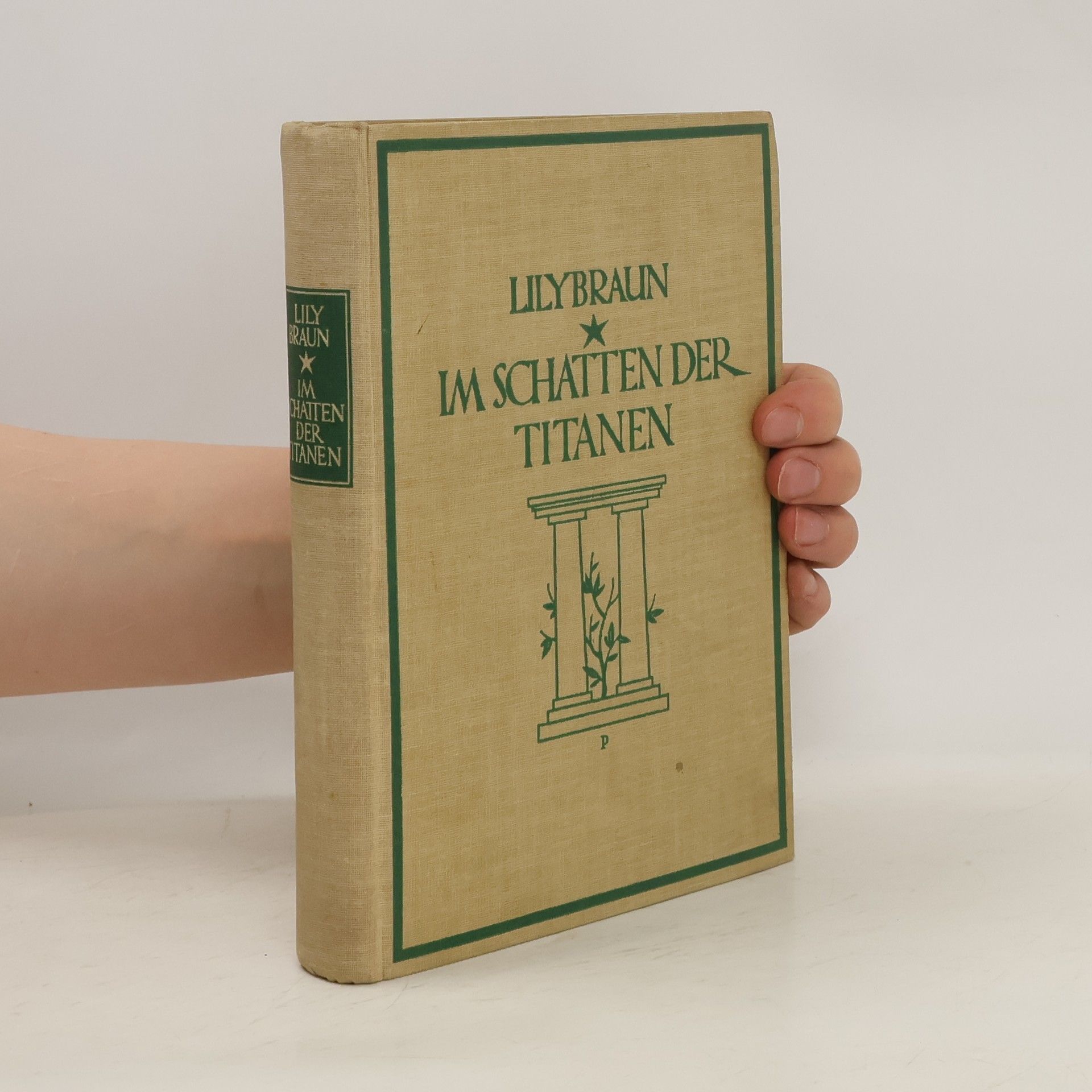 Lily Braun Im Schatten der Titanen