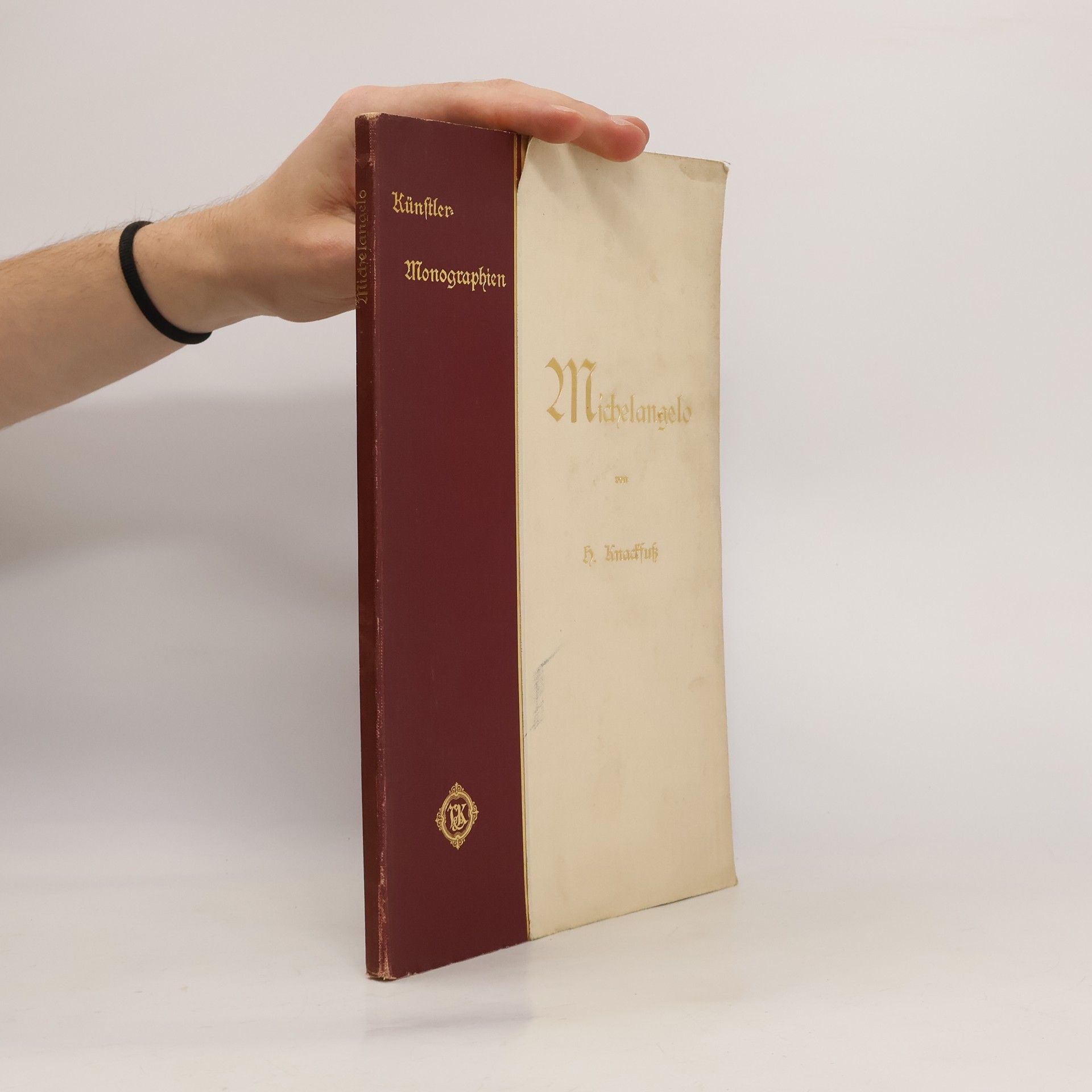 Hubert Knackfuss Künstler Monographien - Michelangelo