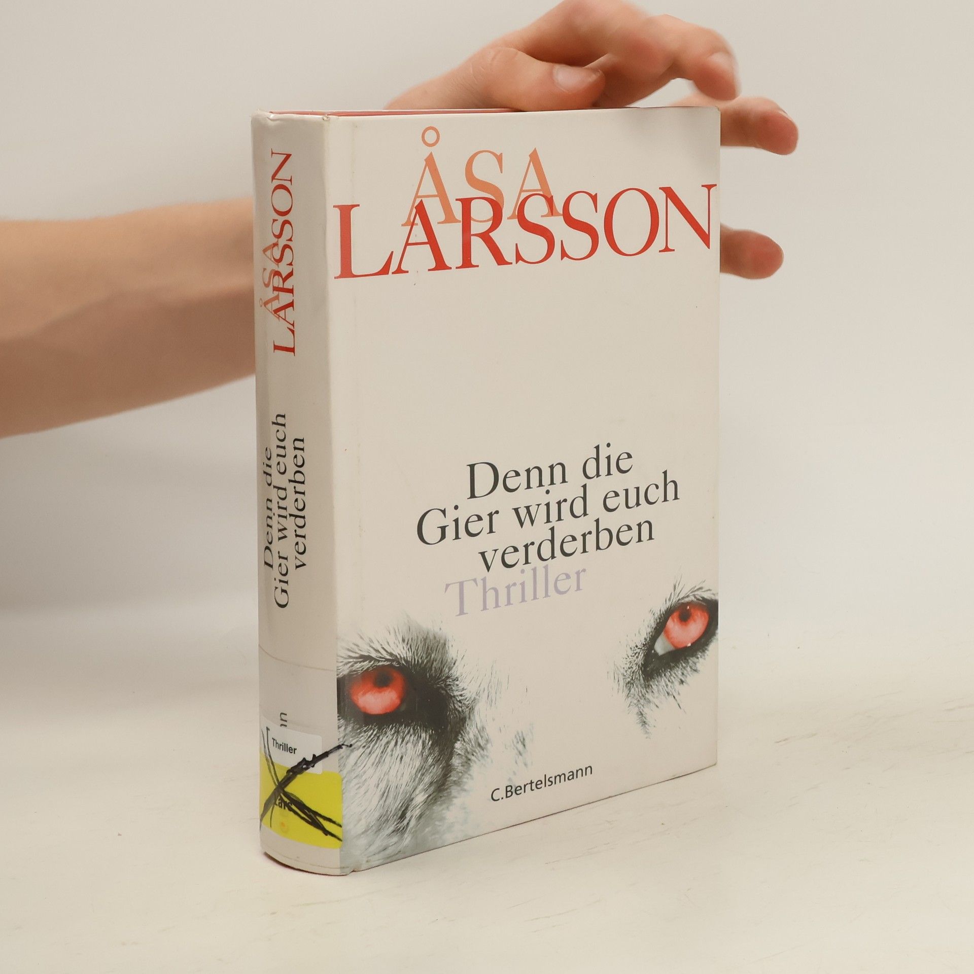Åsa Larsson Denn die Gier wird euch verderben