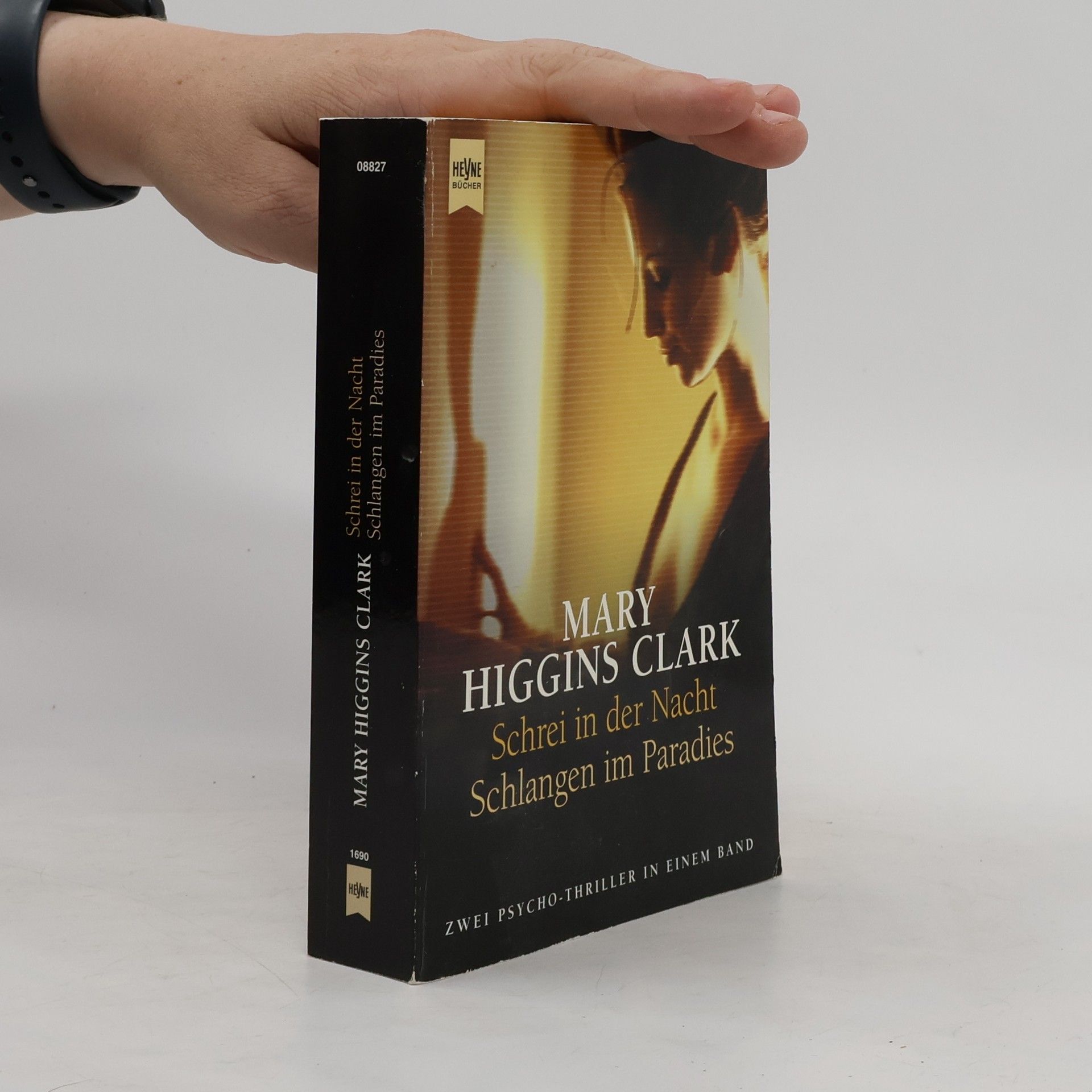 Mary Higgins Clark Schrei in der Nacht