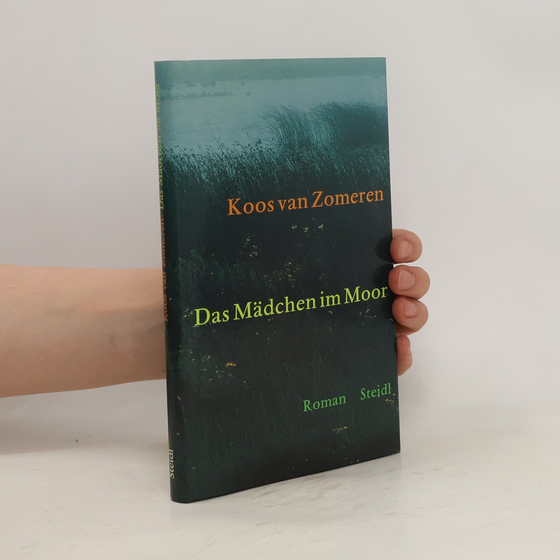 Koos Van Zomeren Das Mädchen im Moor