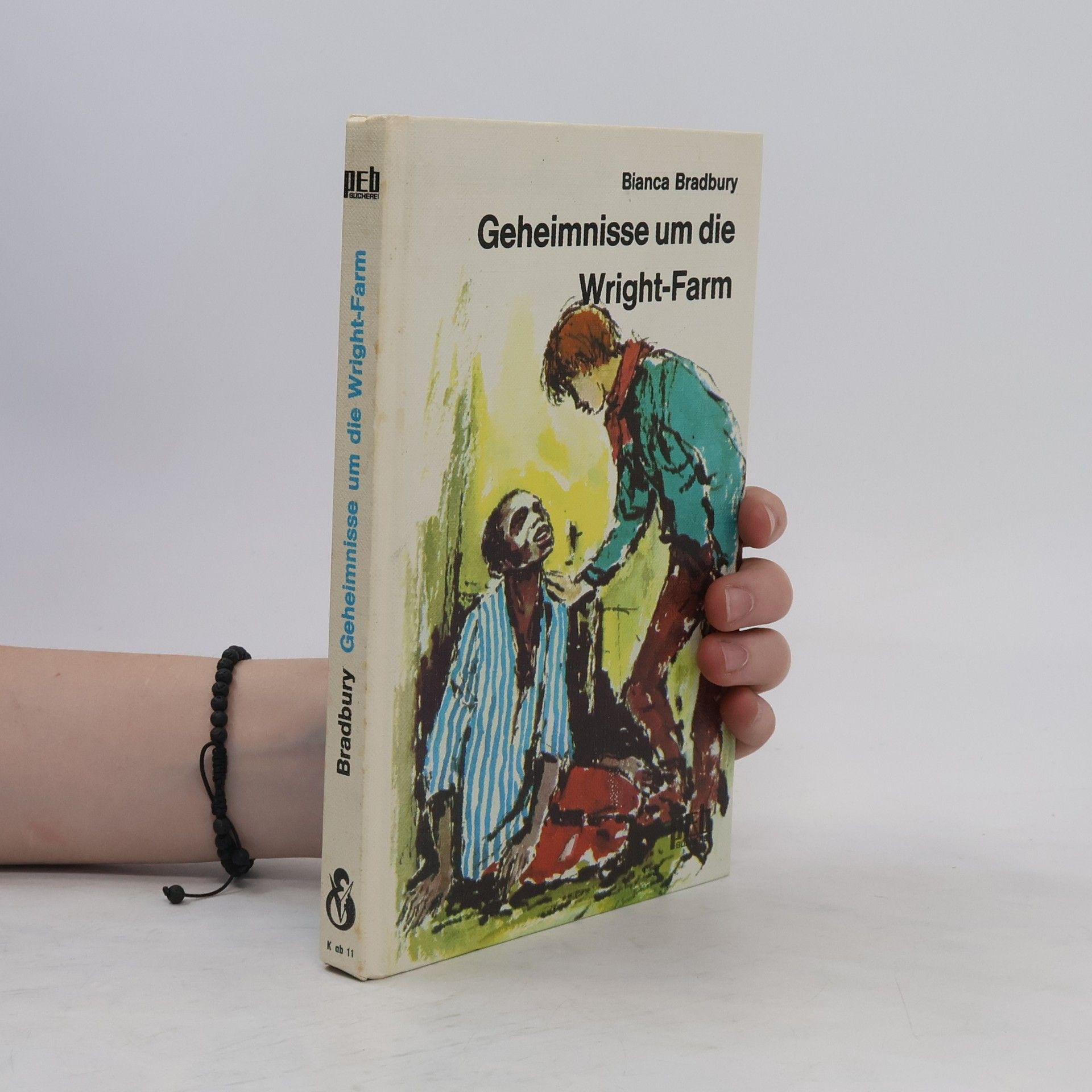 Bianca Bradbury Geheimnisse um die Wright-Farm.