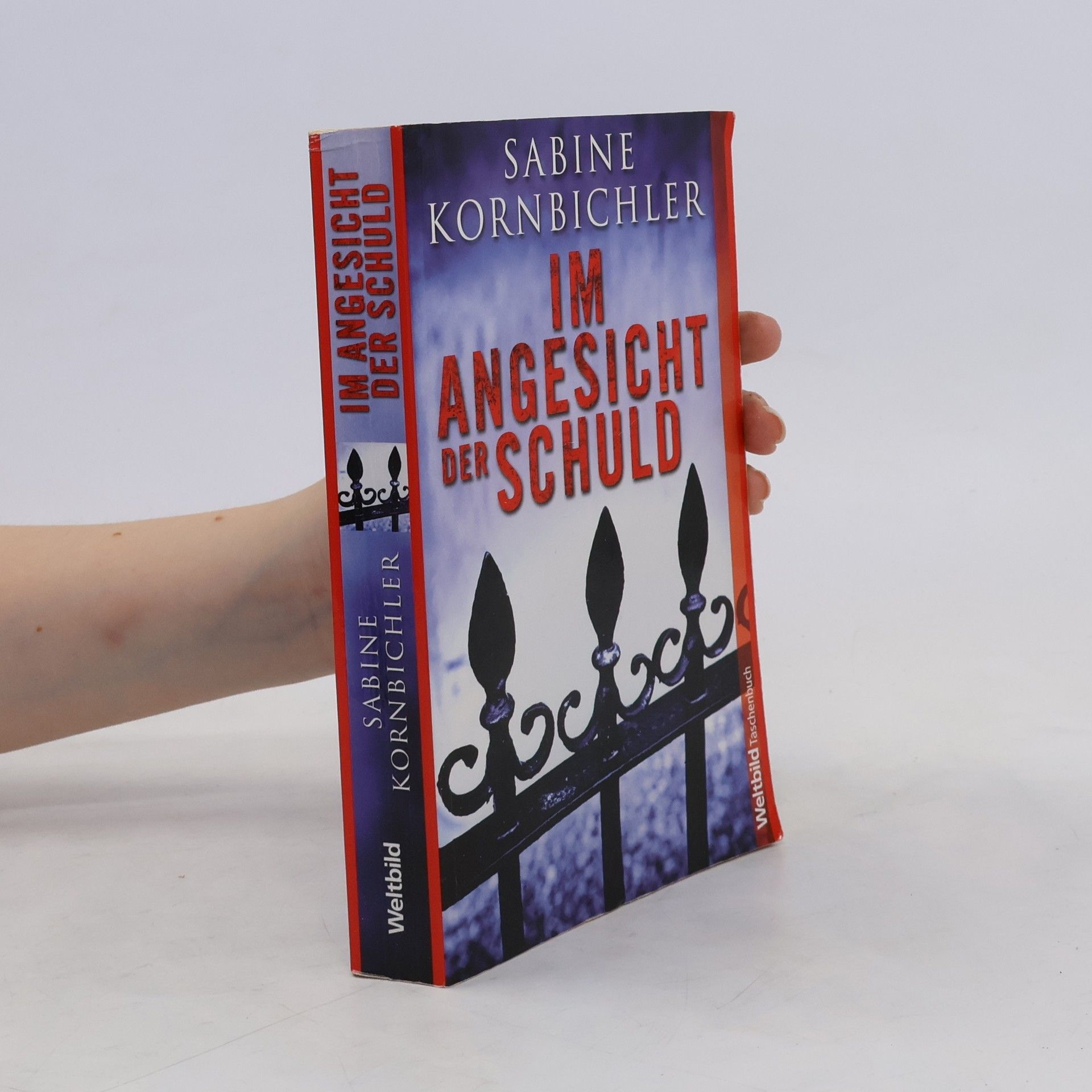 Sabine Kornbichler Im Angesicht der Schuld