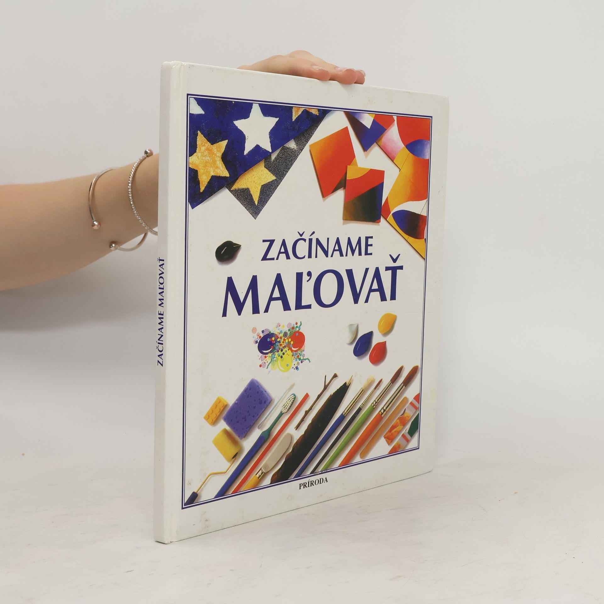 Susan Mayes Začíname maľovať