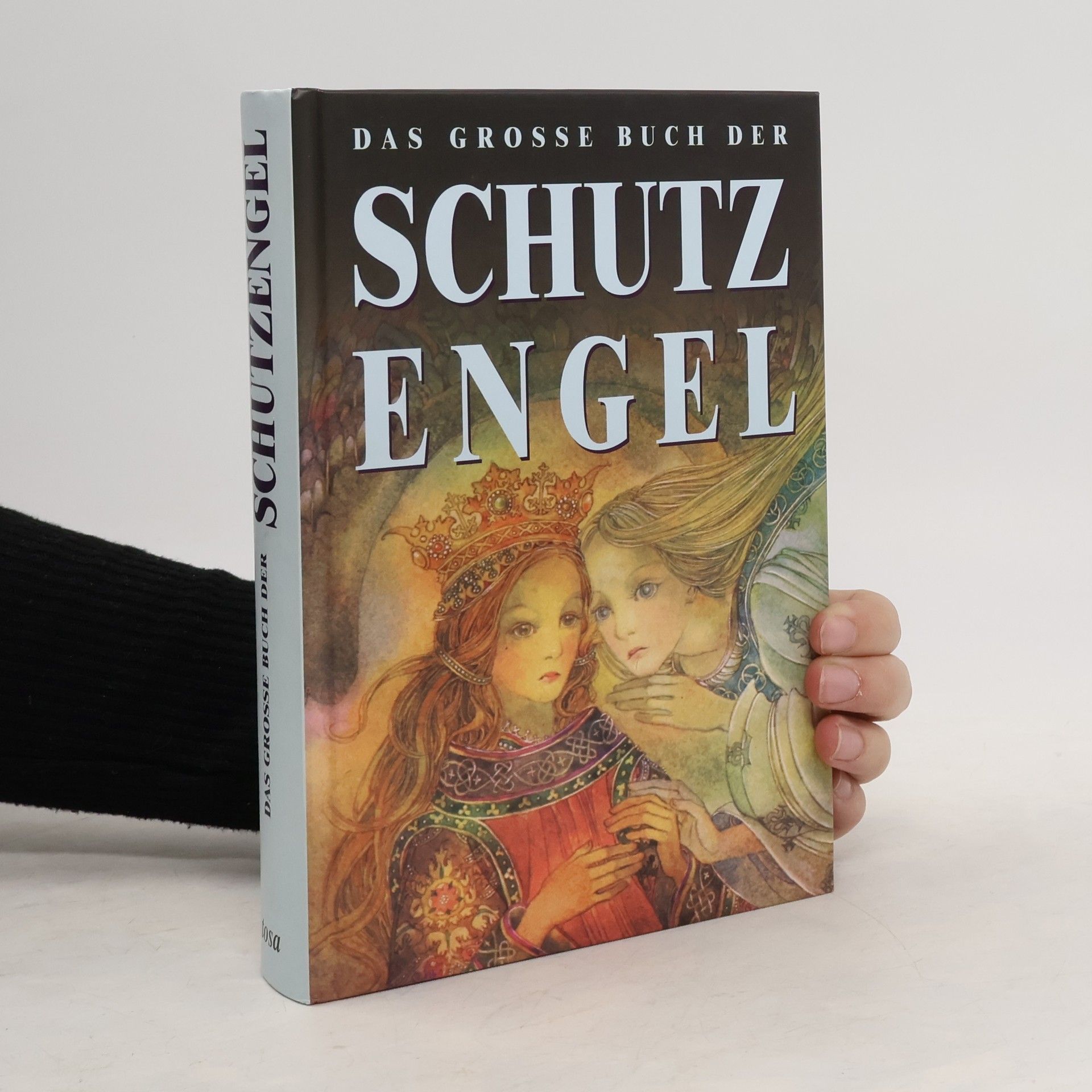 Peter Michel Das große Buch der Schutzengel