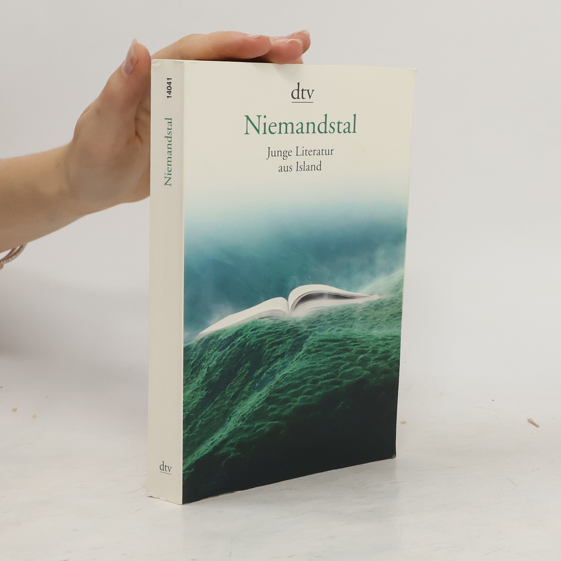 Ursula Giger Niemandstal